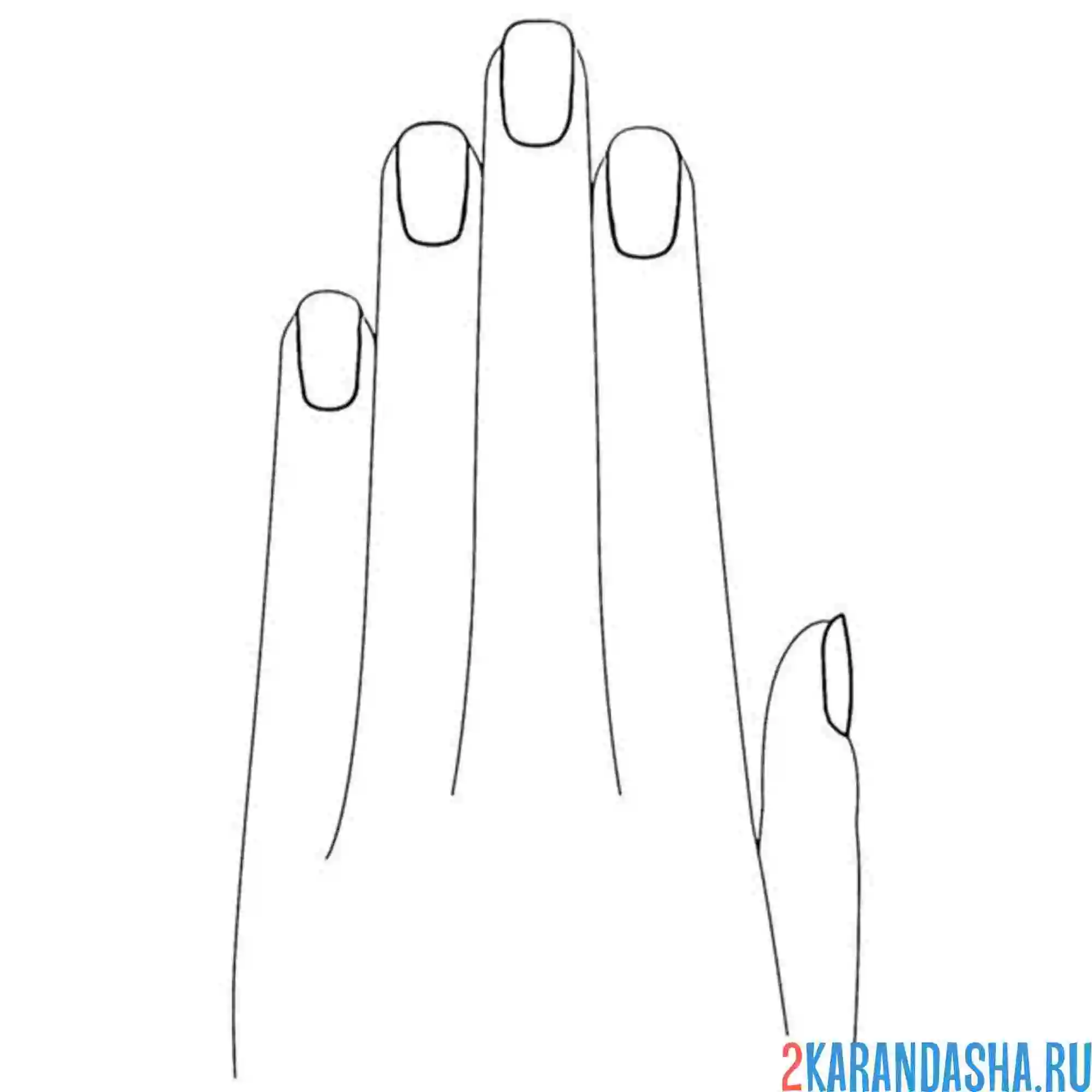 Раскраска женская рука