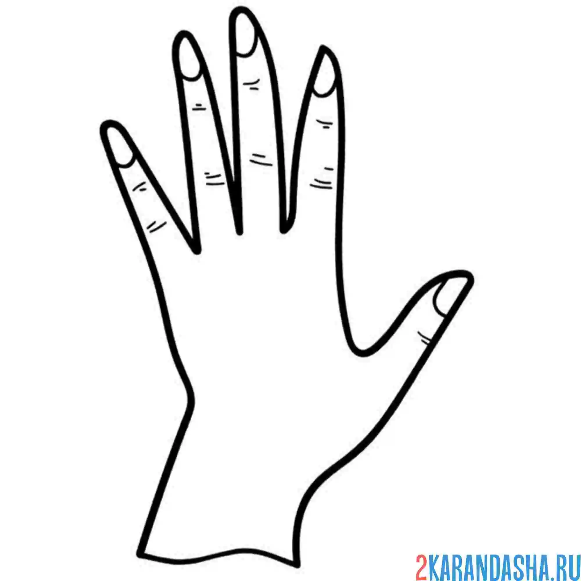Раскраска женская елвая рука