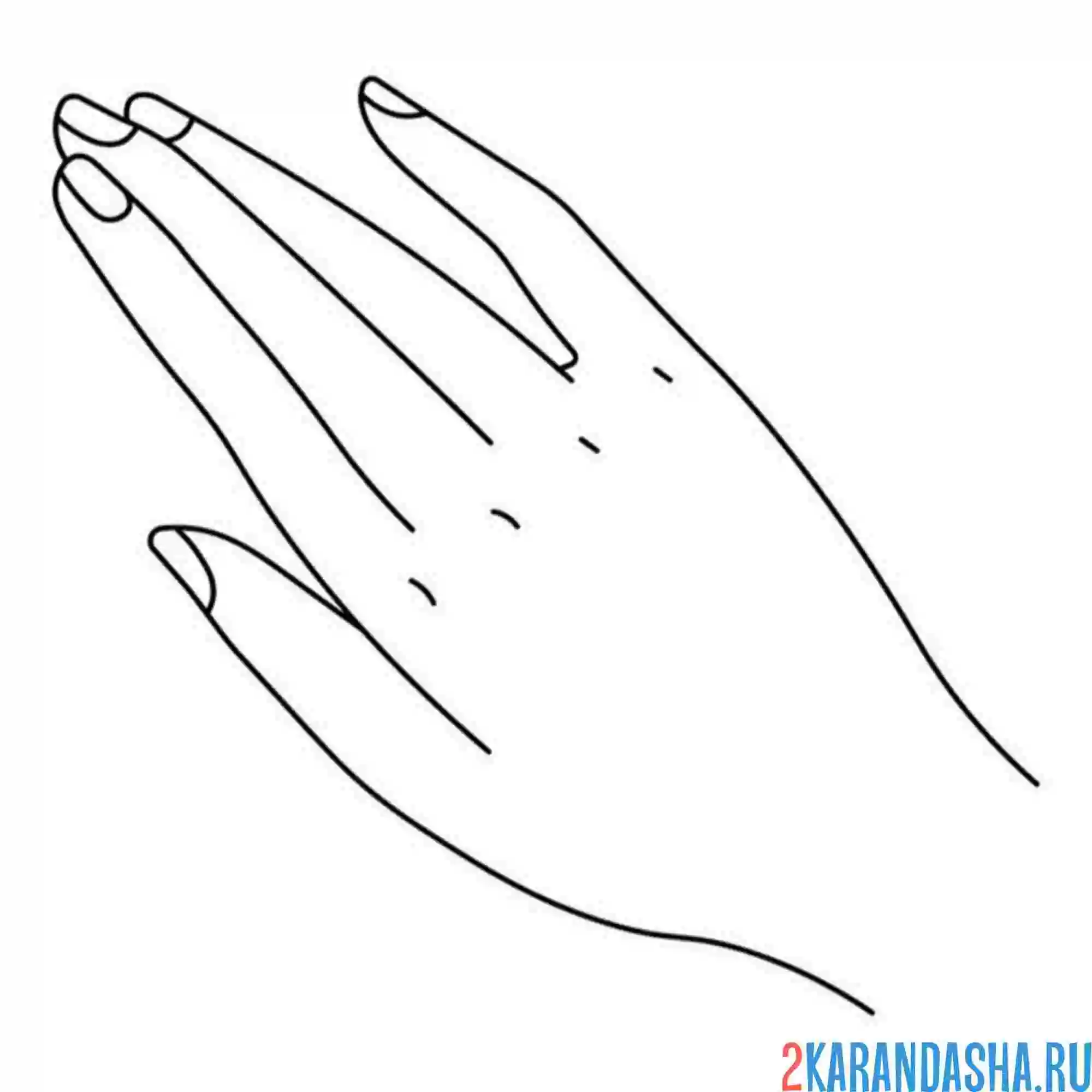 Раскраска правая женская рука