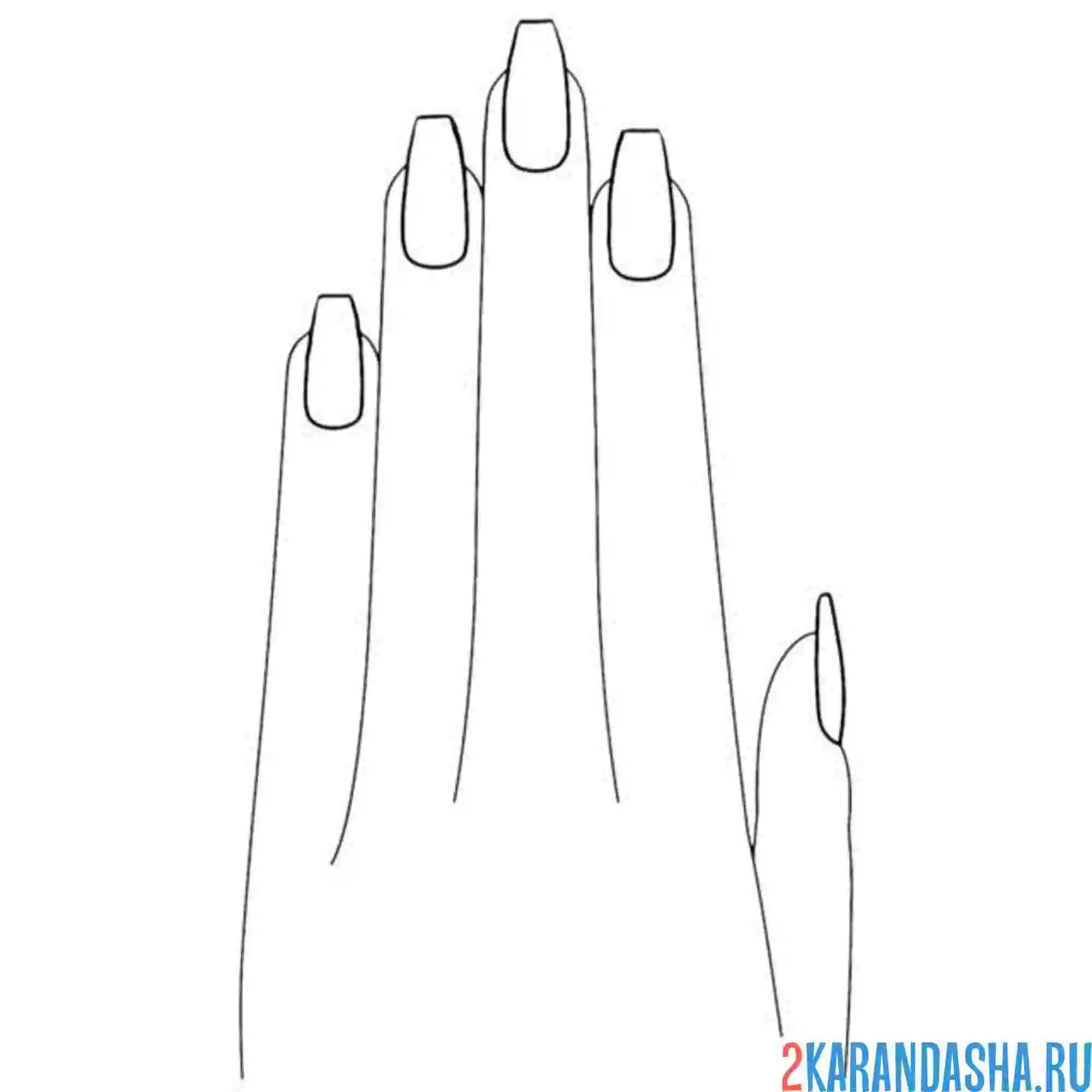 Раскраска женские пальцы на руке