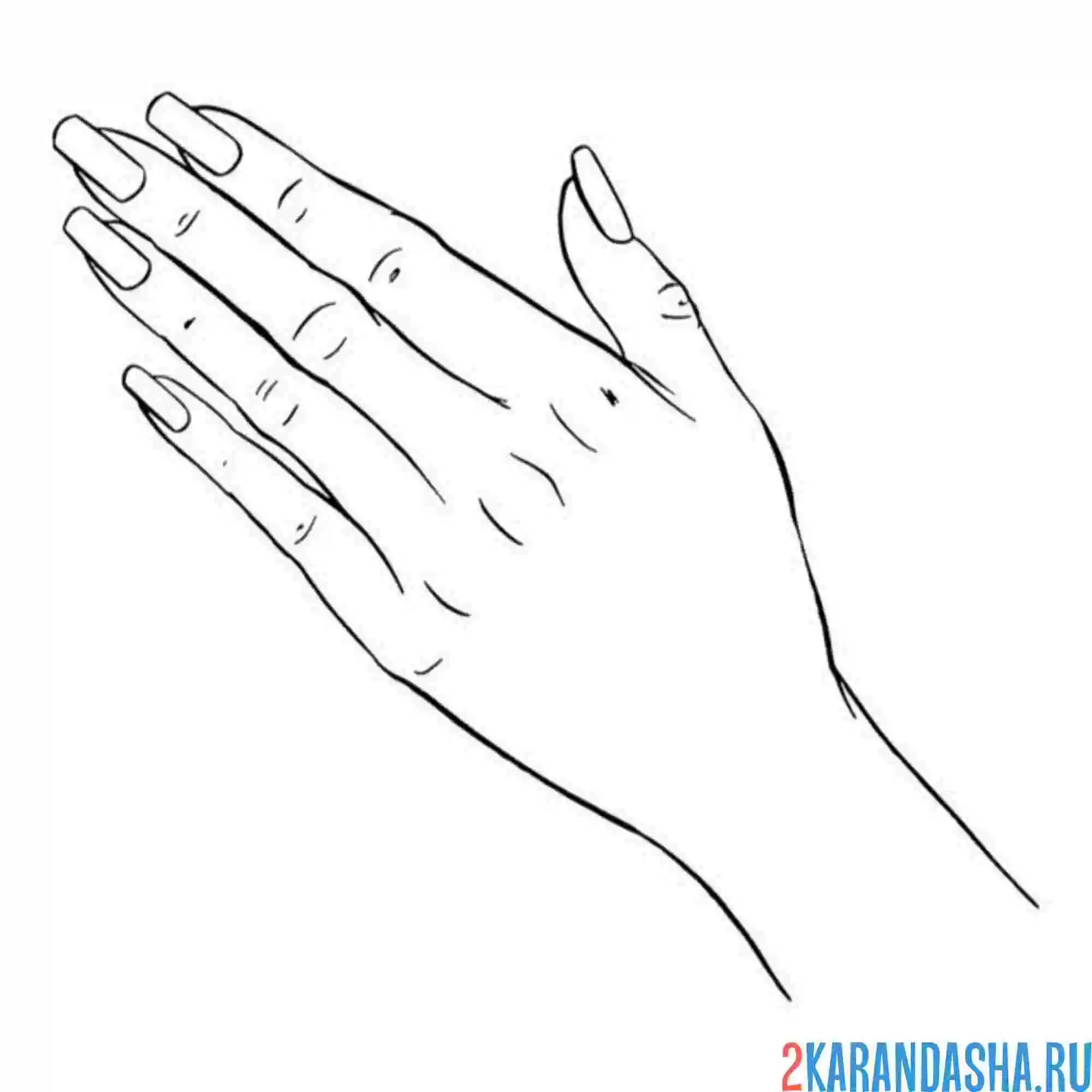 Раскраска рука для маникюра