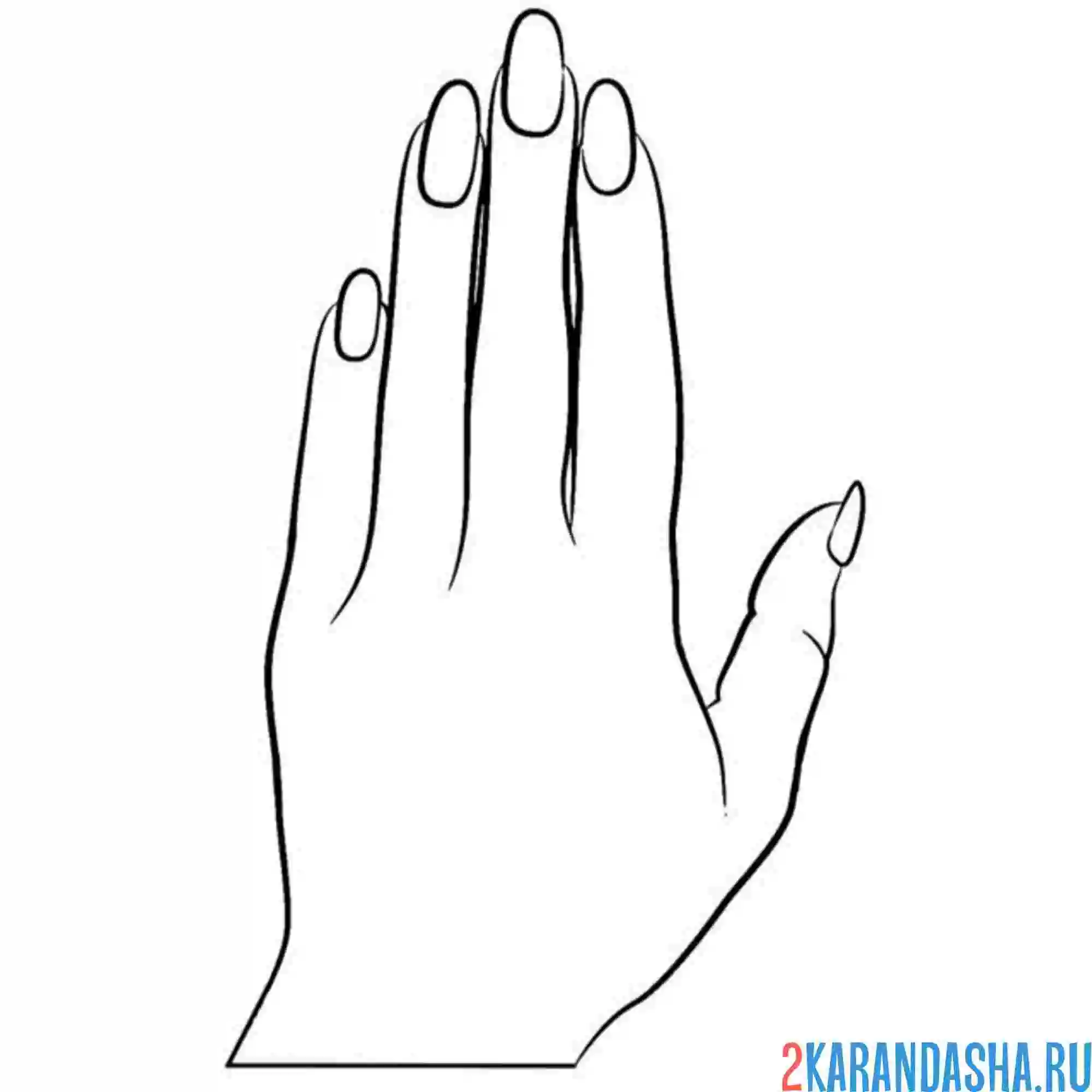 Раскраска левая женская рука с ногтями