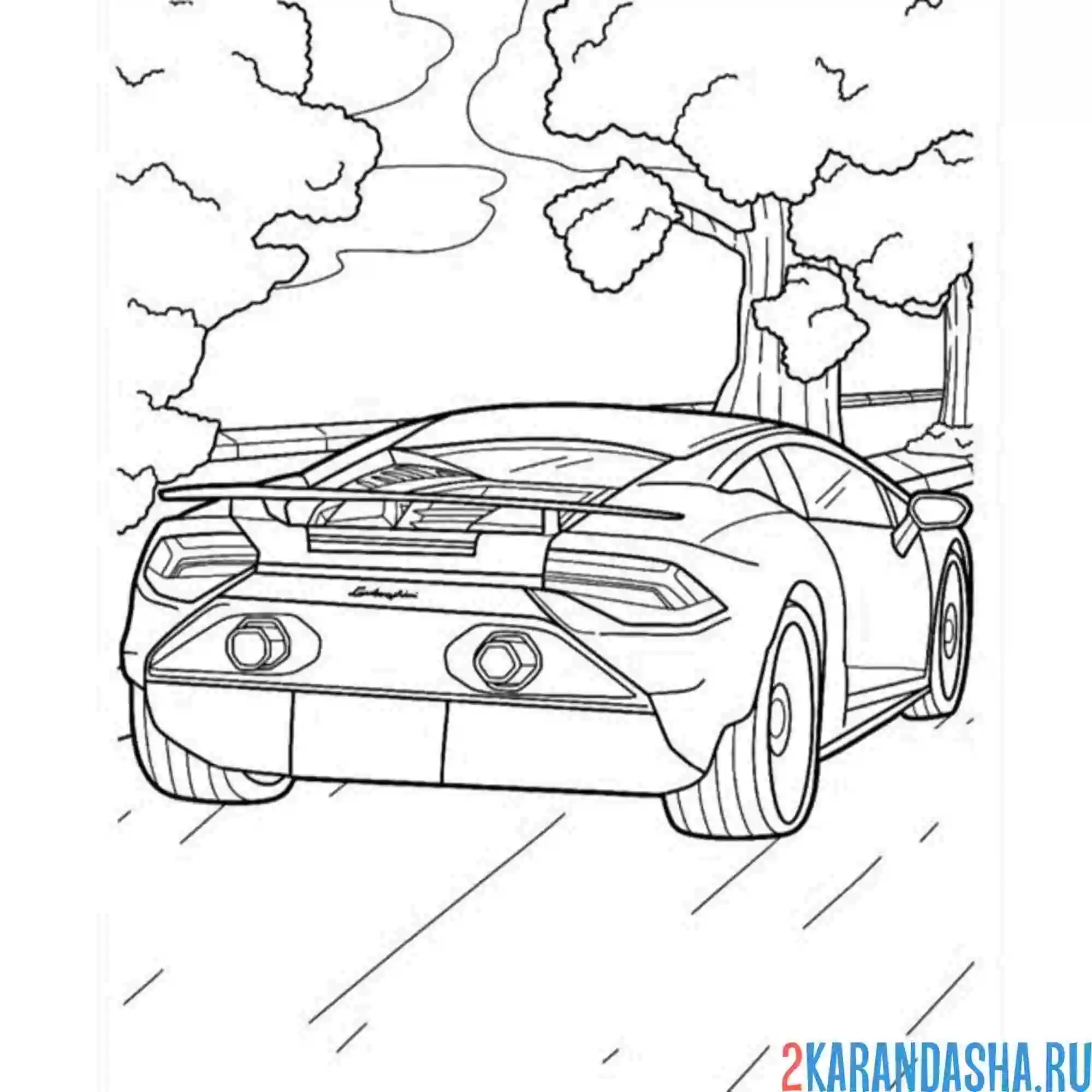 Раскраска lamborghini вид сзади