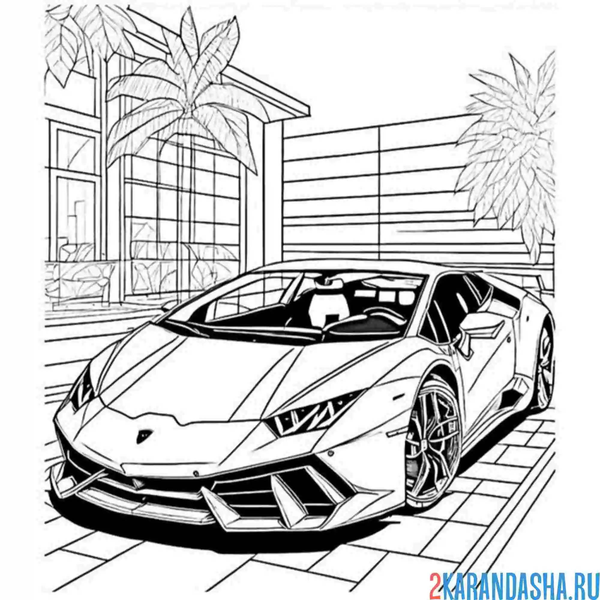 Раскраска lamborghini пальмы