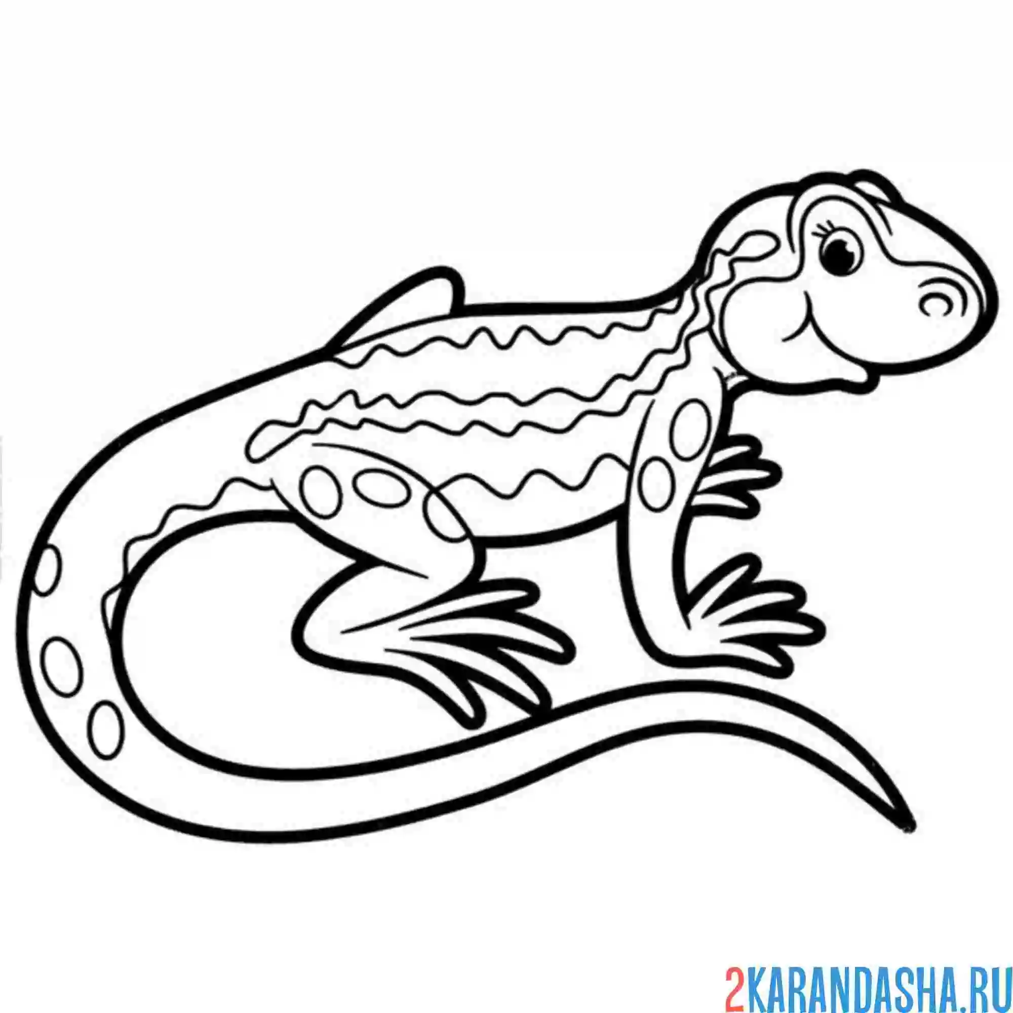 Раскраска милая ящерица