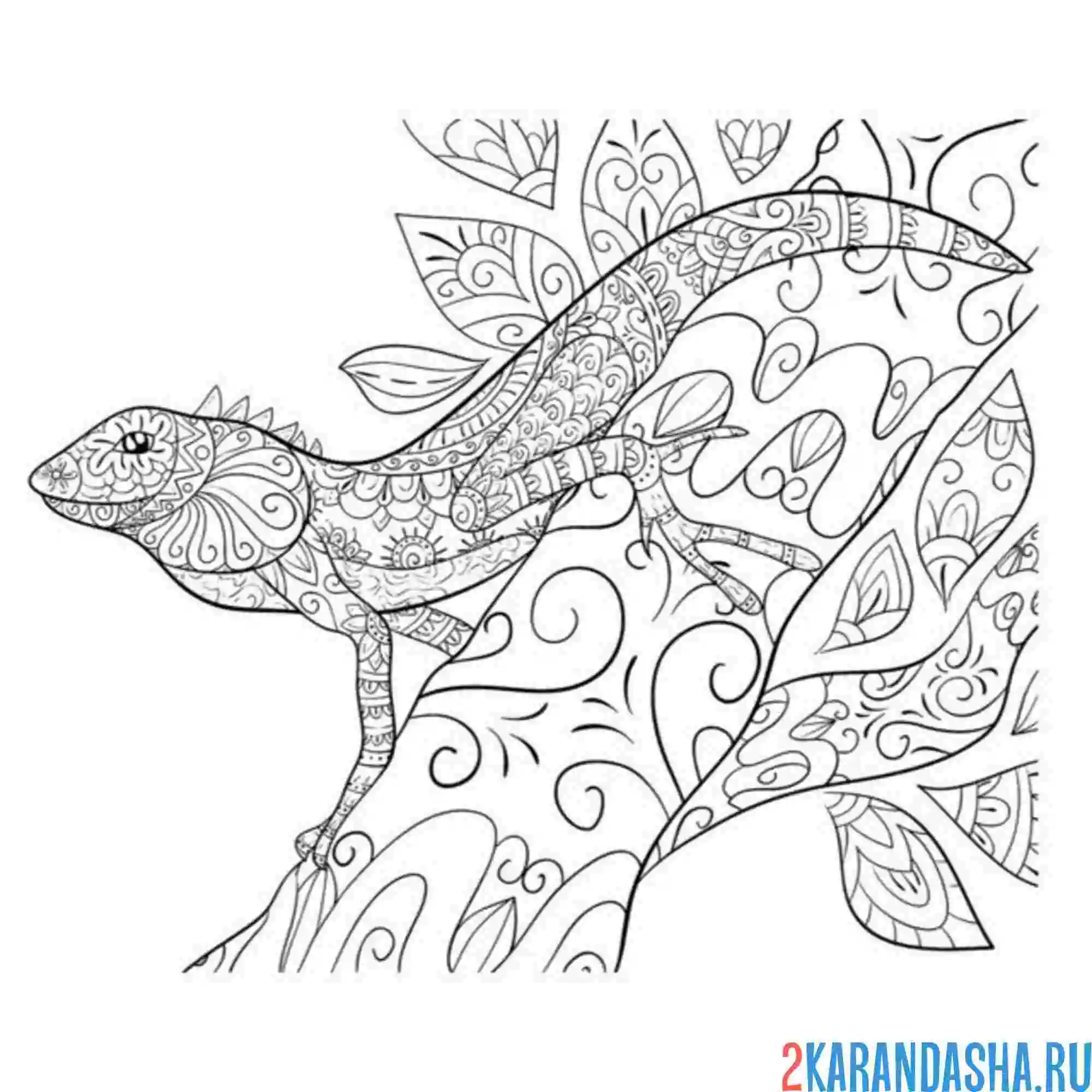 Раскраска антистресс ящерица