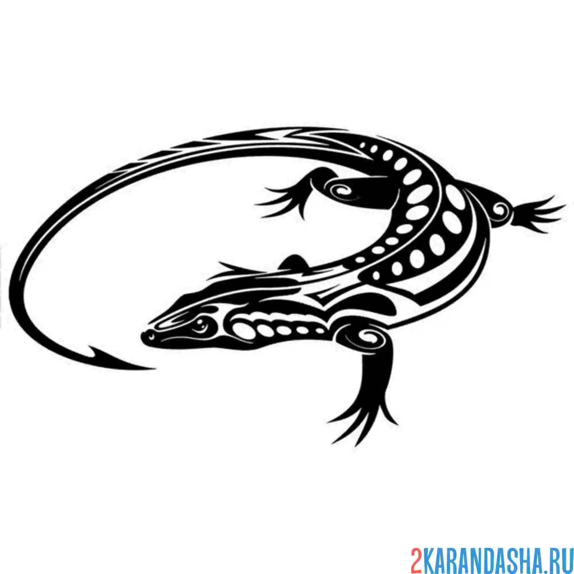 Раскраска ящерица тату