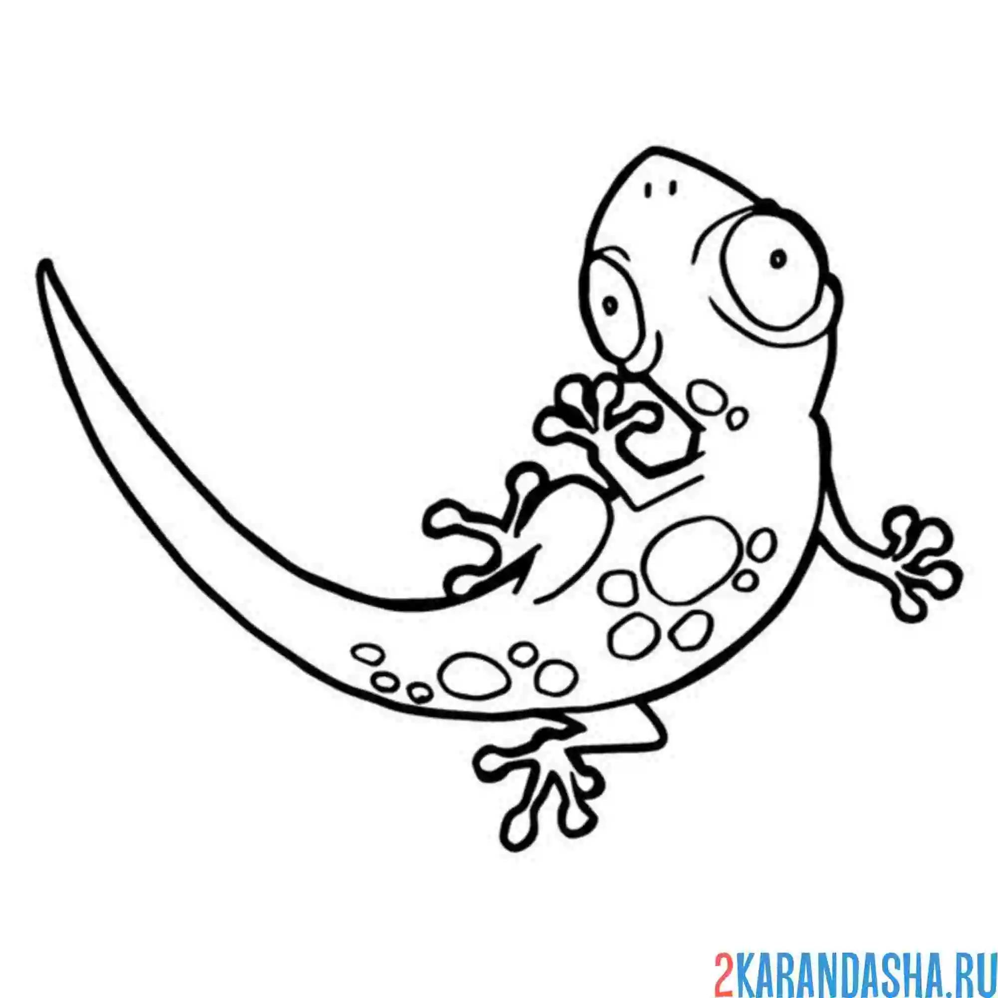 Раскраска малыш геккон