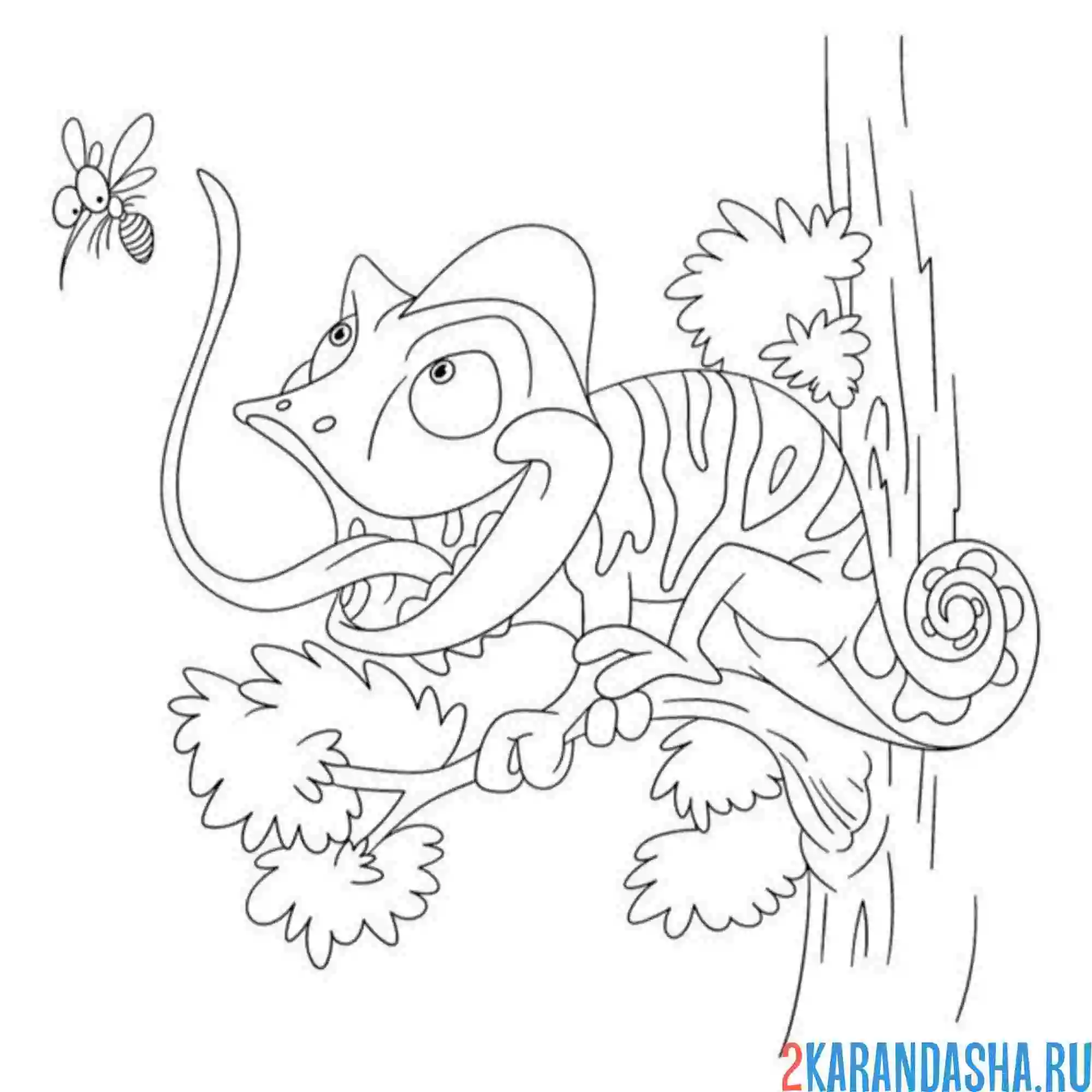 Раскраска хамелеон охотится