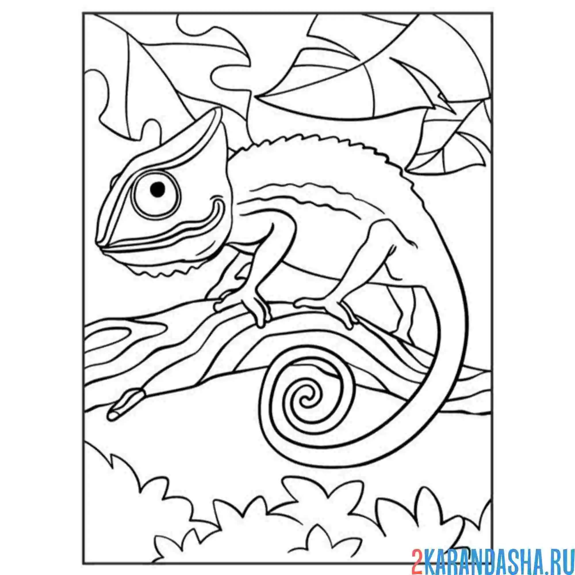 Раскраска хамелеон ящерица на ветке