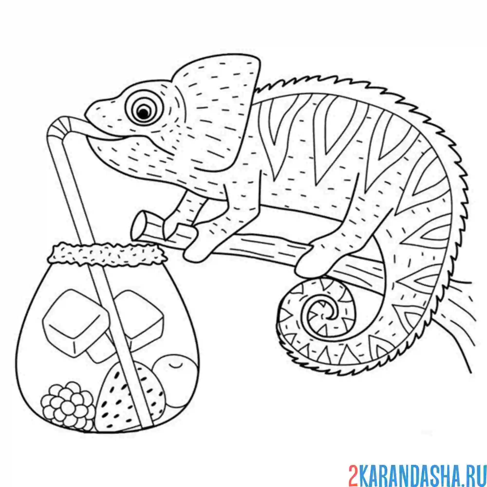 Раскраска хамелеон пьет коктейль
