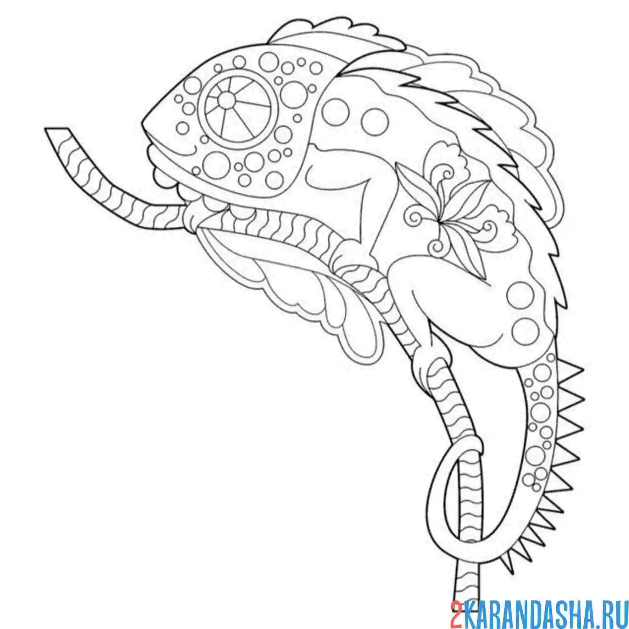 Раскраска игуана на ветке