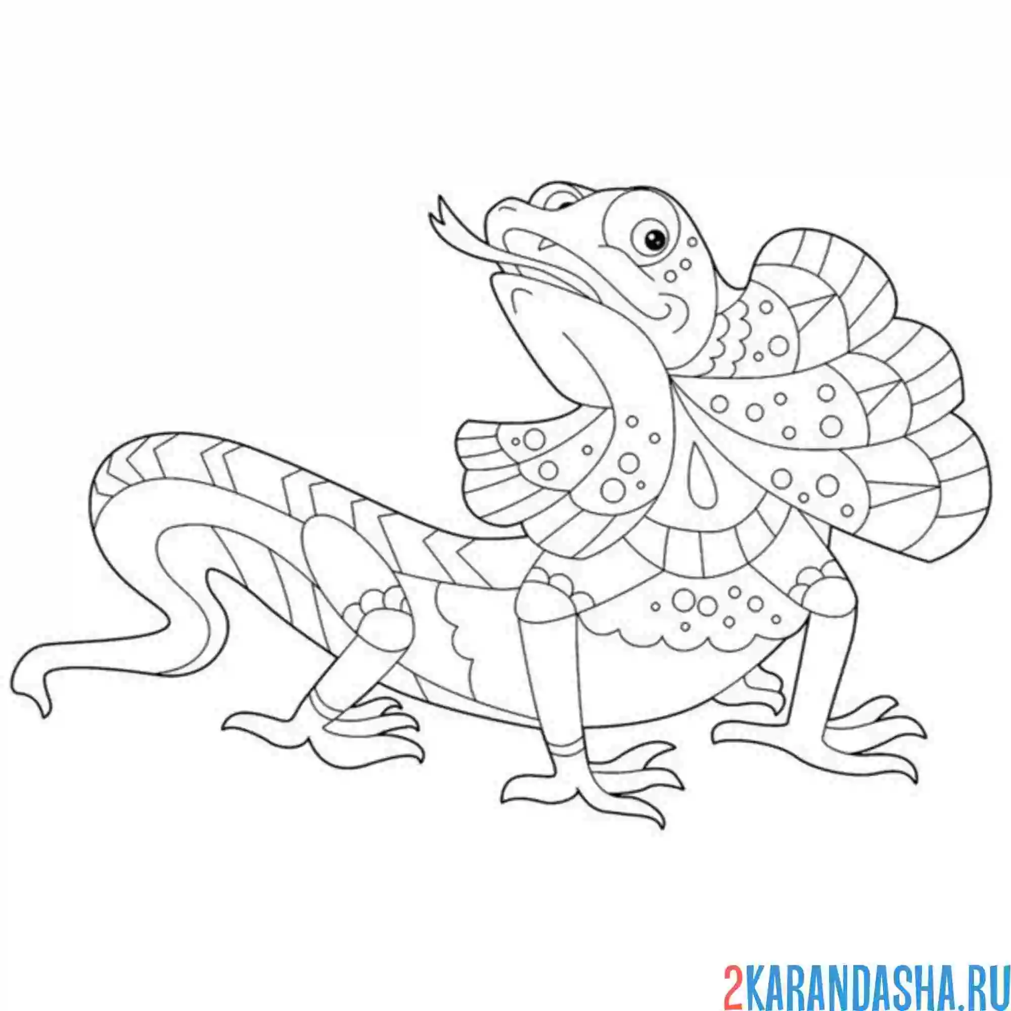 Раскраска плащеносная ящерица