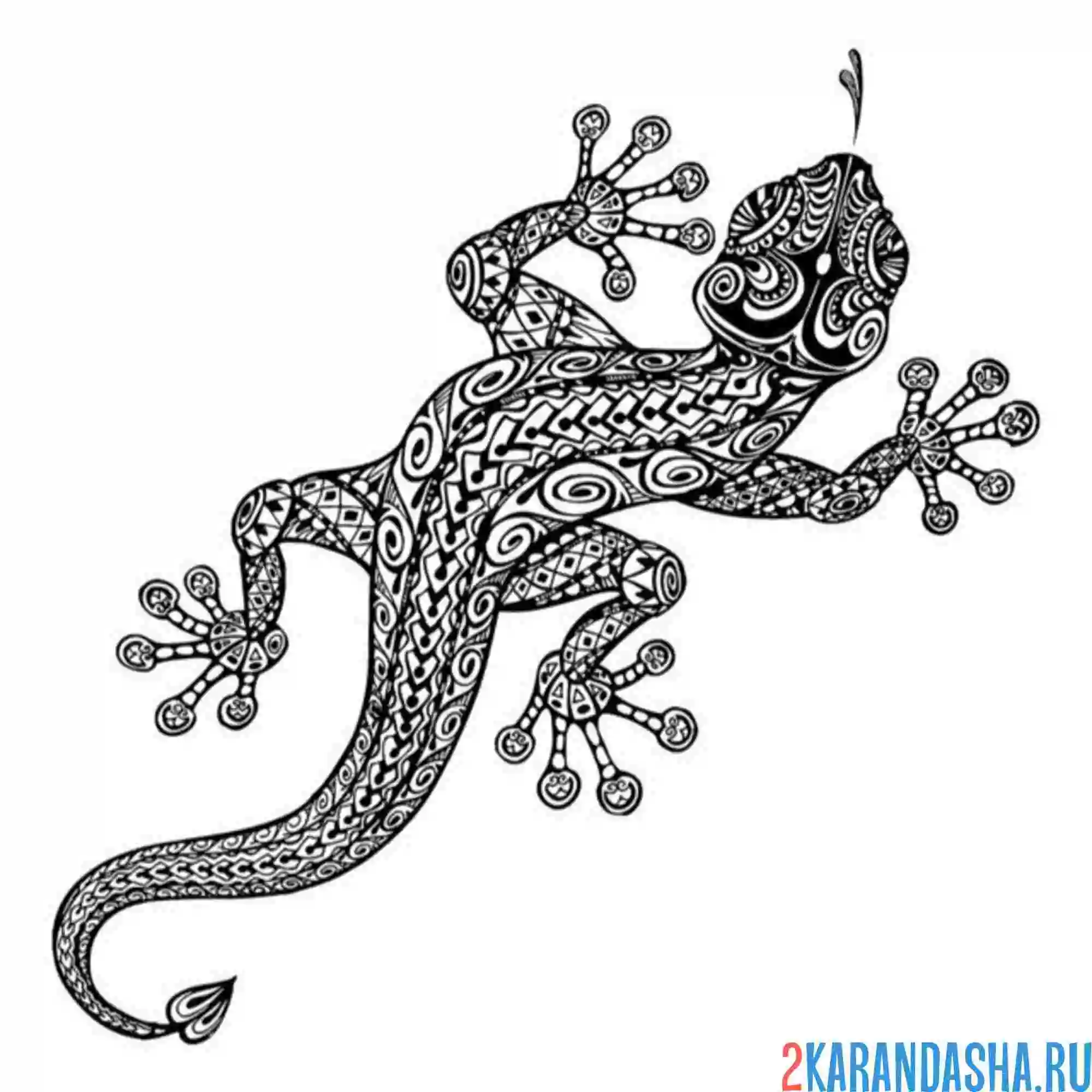 Раскраска антистресс большая ящерица