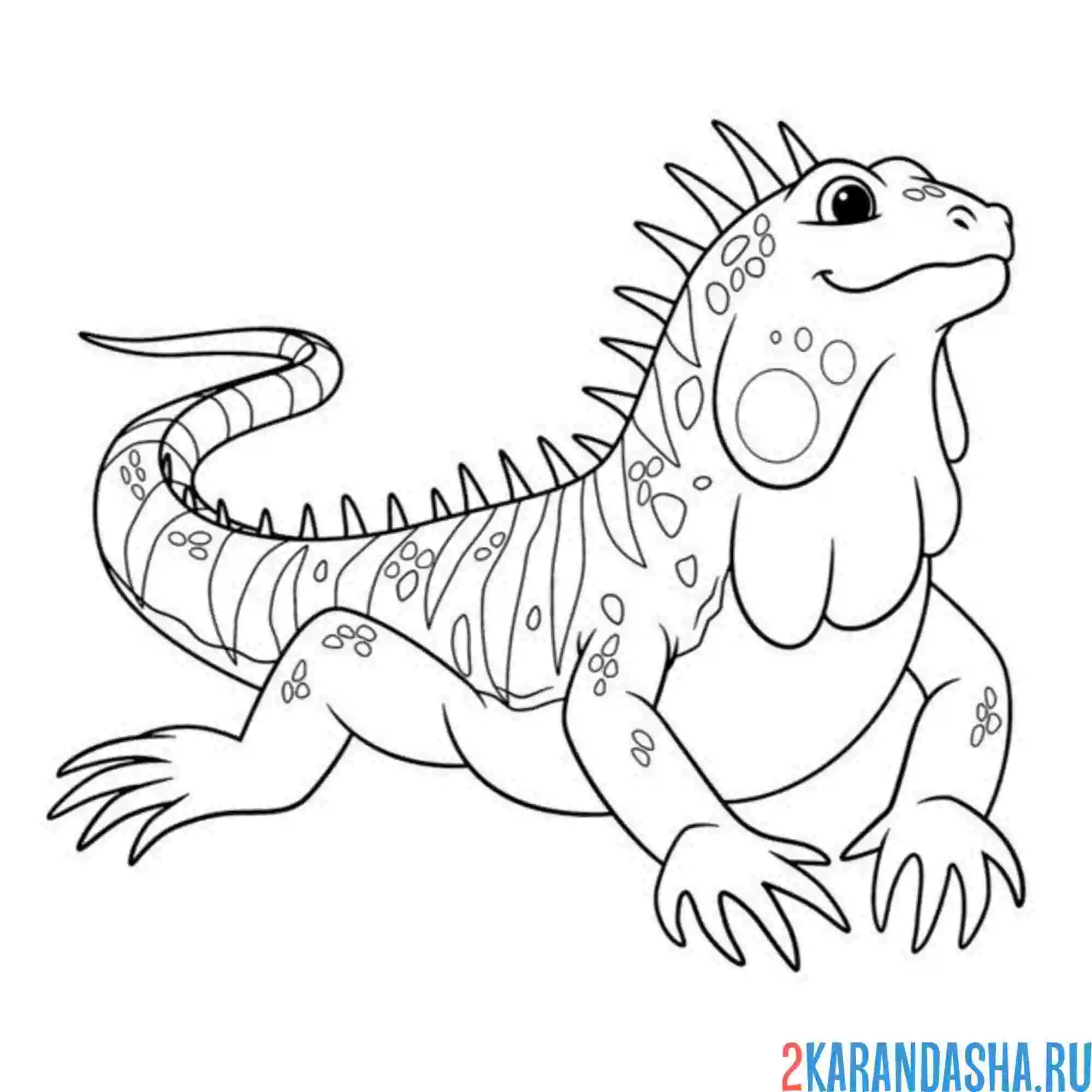 Раскраска красивая игуана