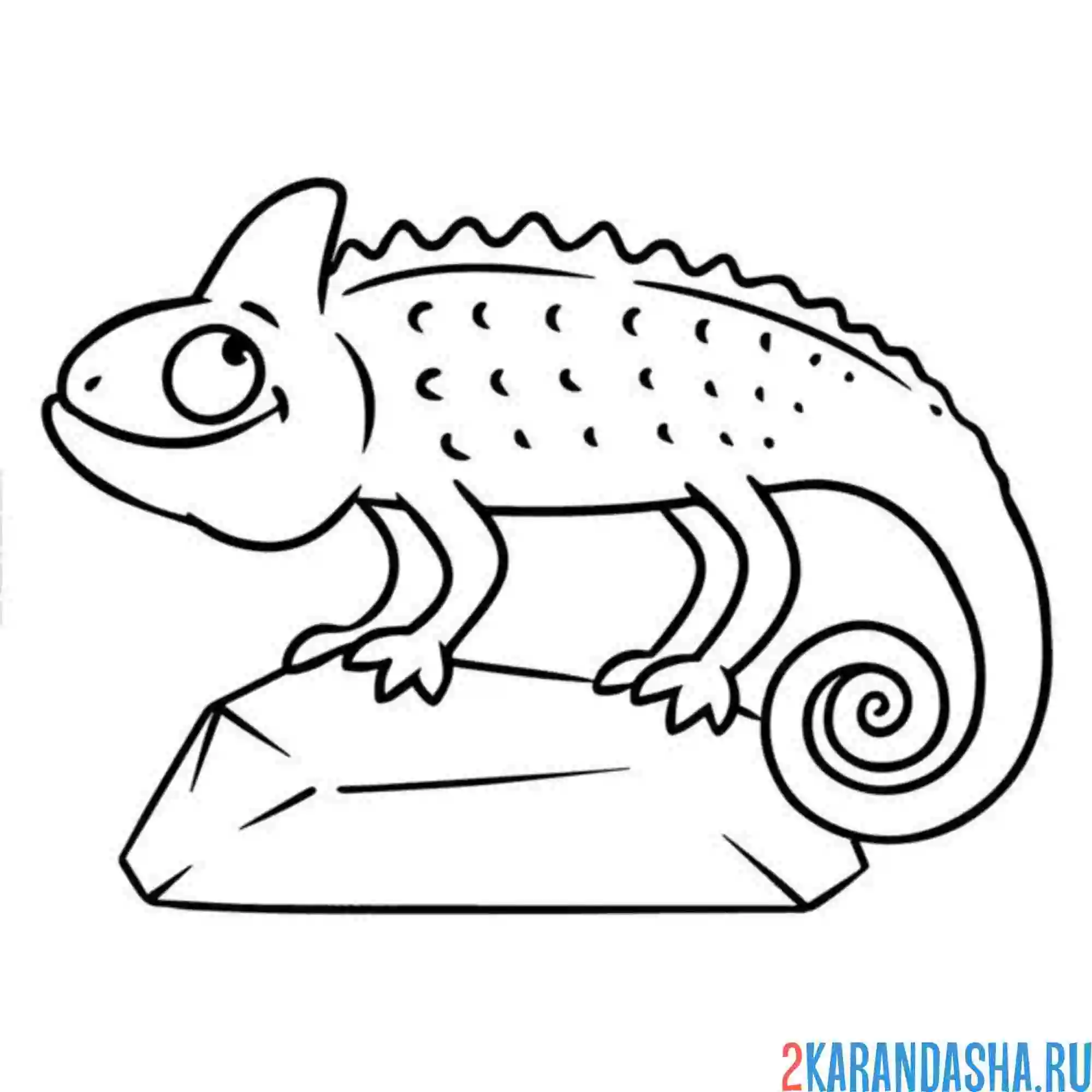 Раскраска хамелеон на камне