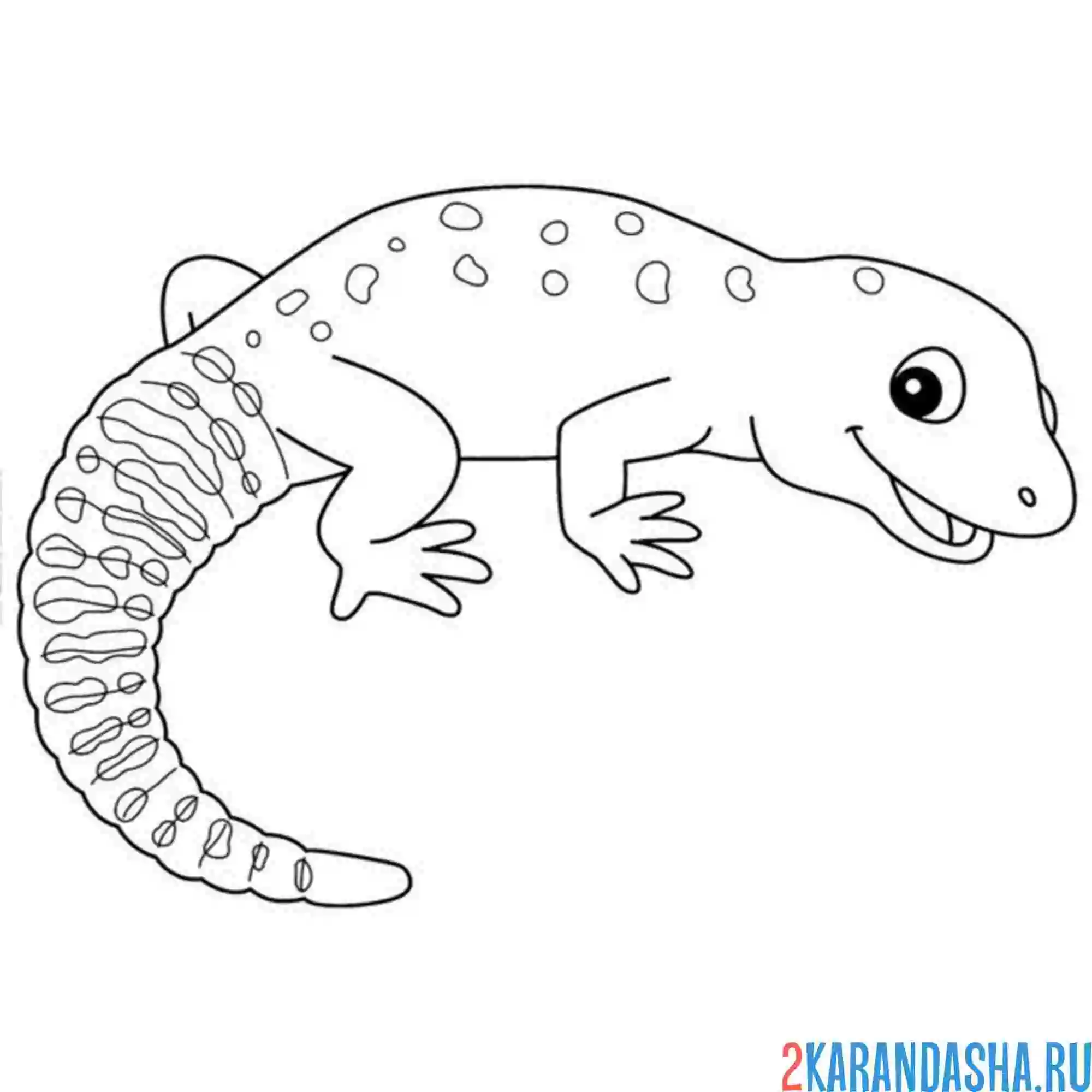 Раскраска ящерица с хвостом