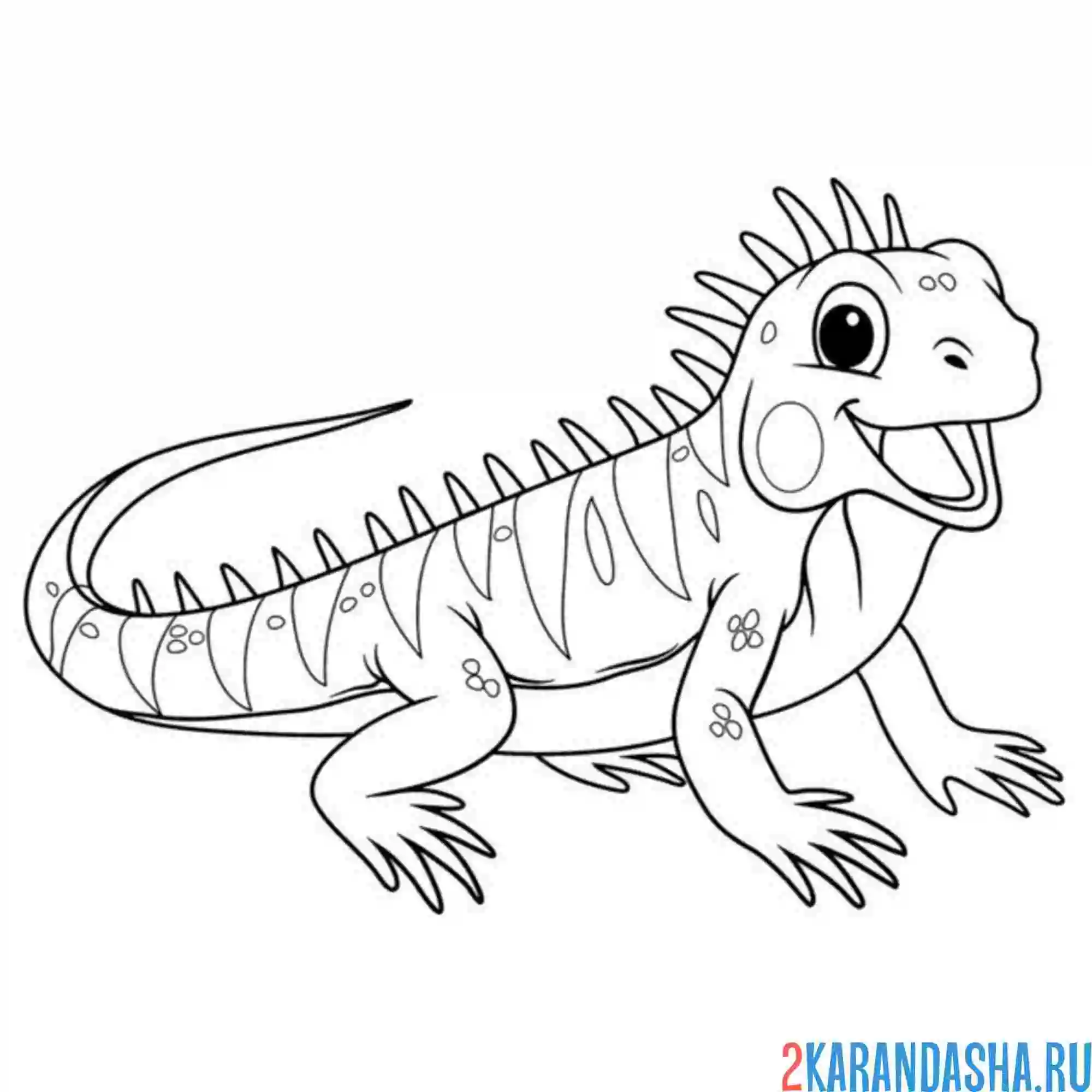 Раскраска игуана смеется