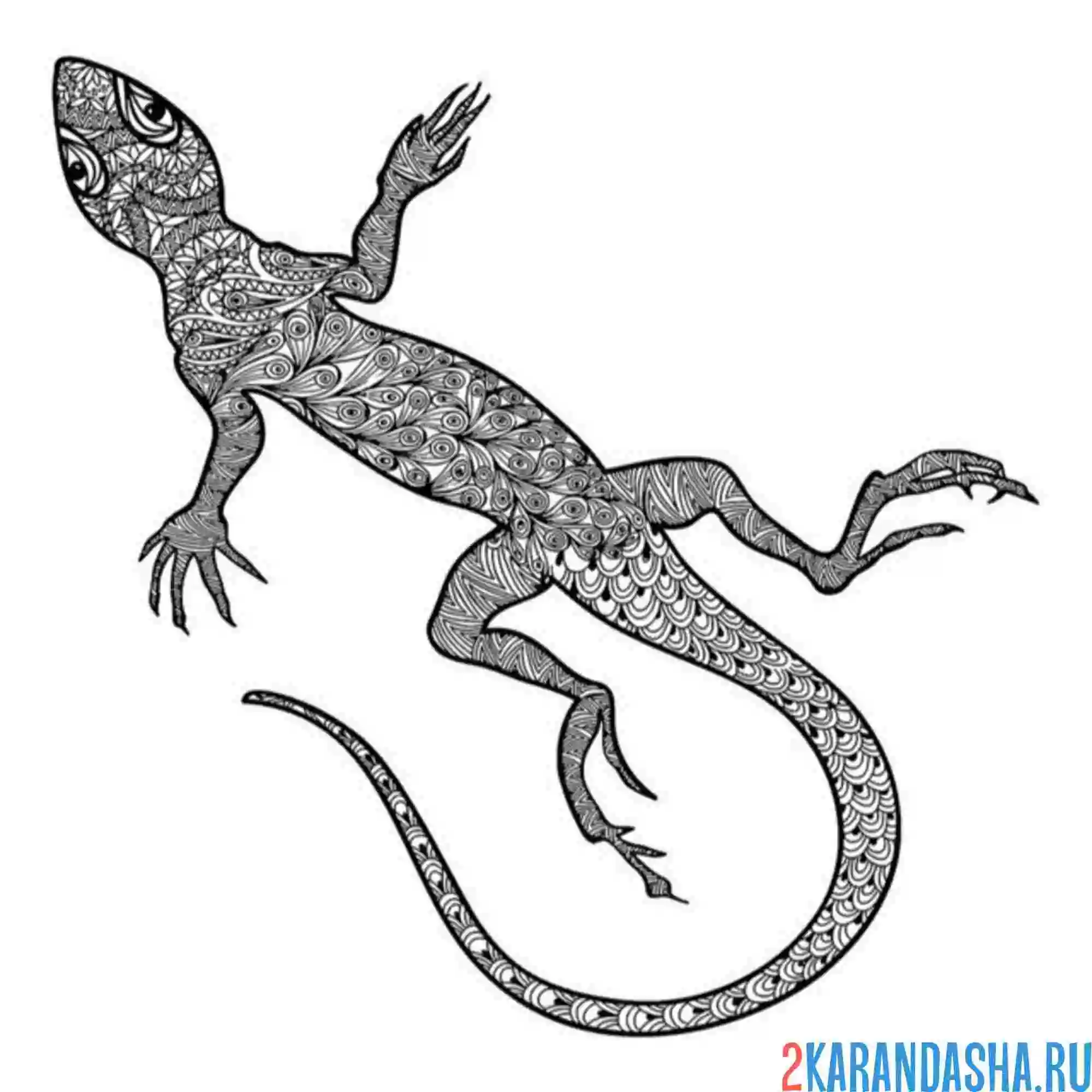 Раскраска ящерица арт антистресс