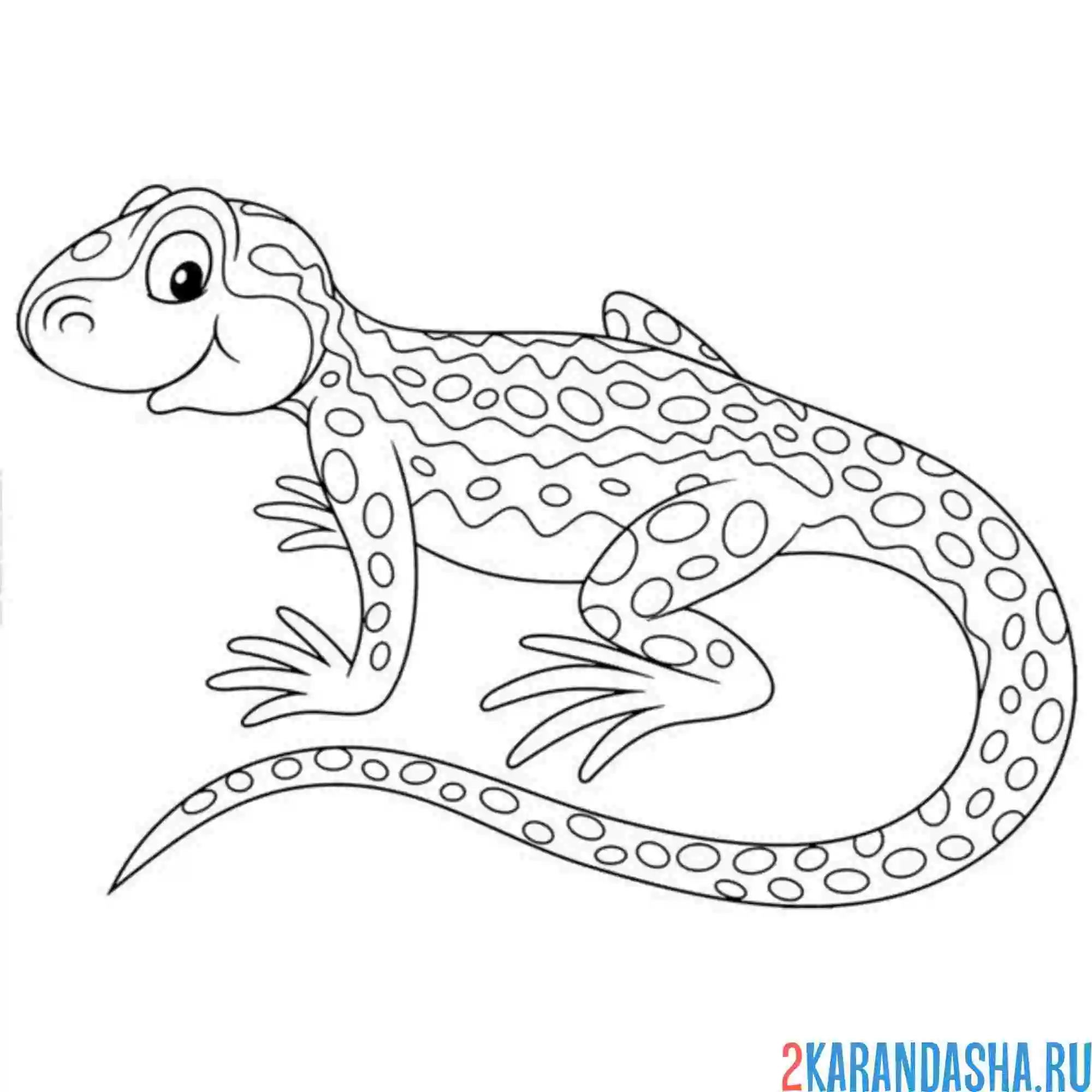 Раскраска милашная ящерица