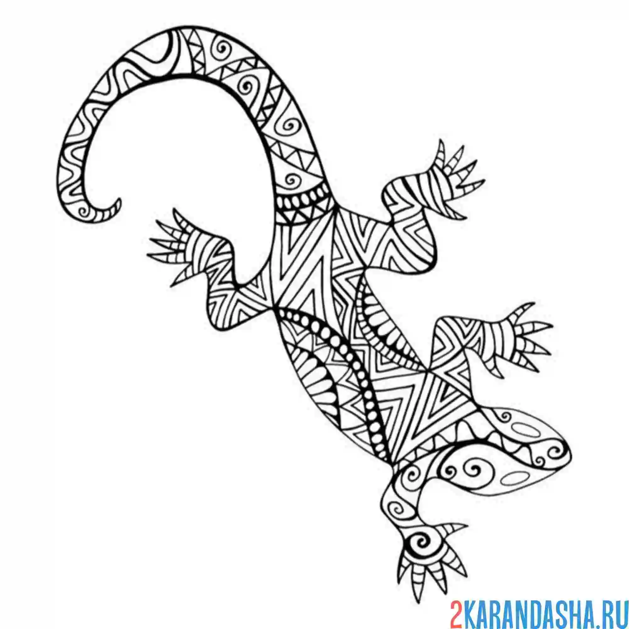 Раскраска антистресс узоры ящерица
