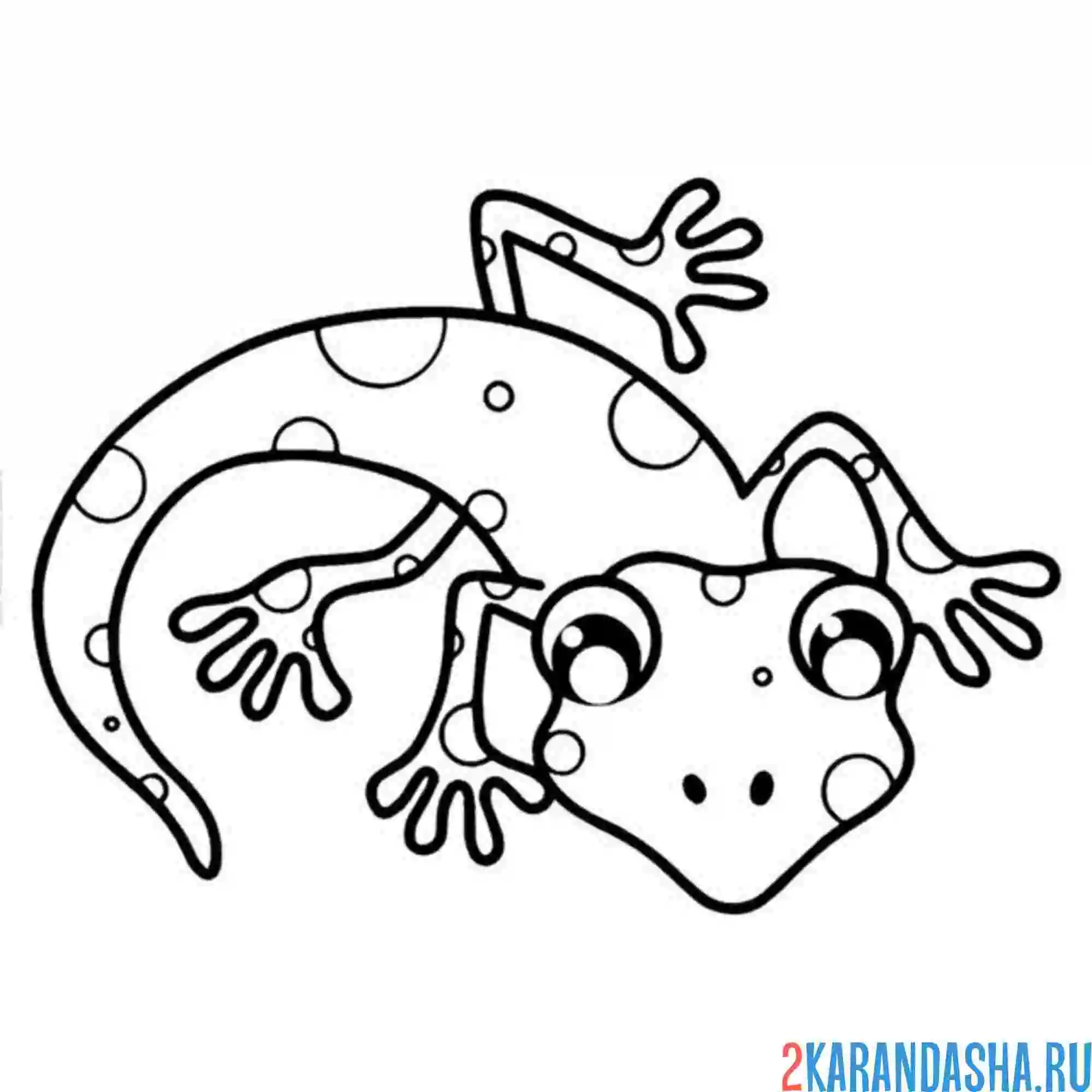 Раскраска глазастенькая ящерица