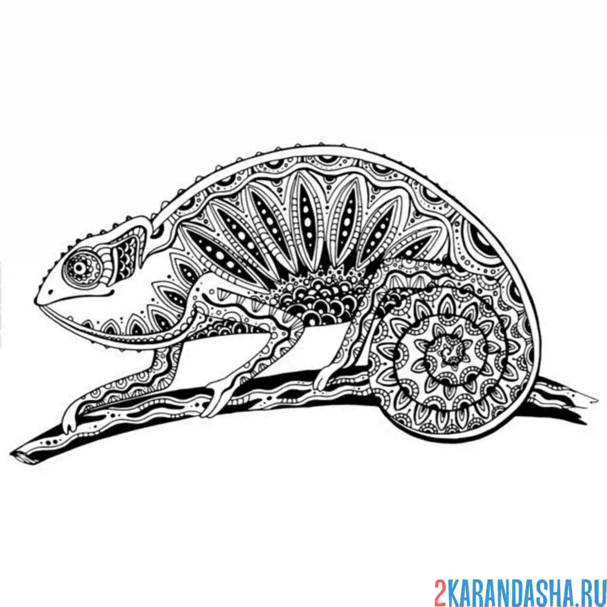 Раскраска хамелеон сидит антистресс