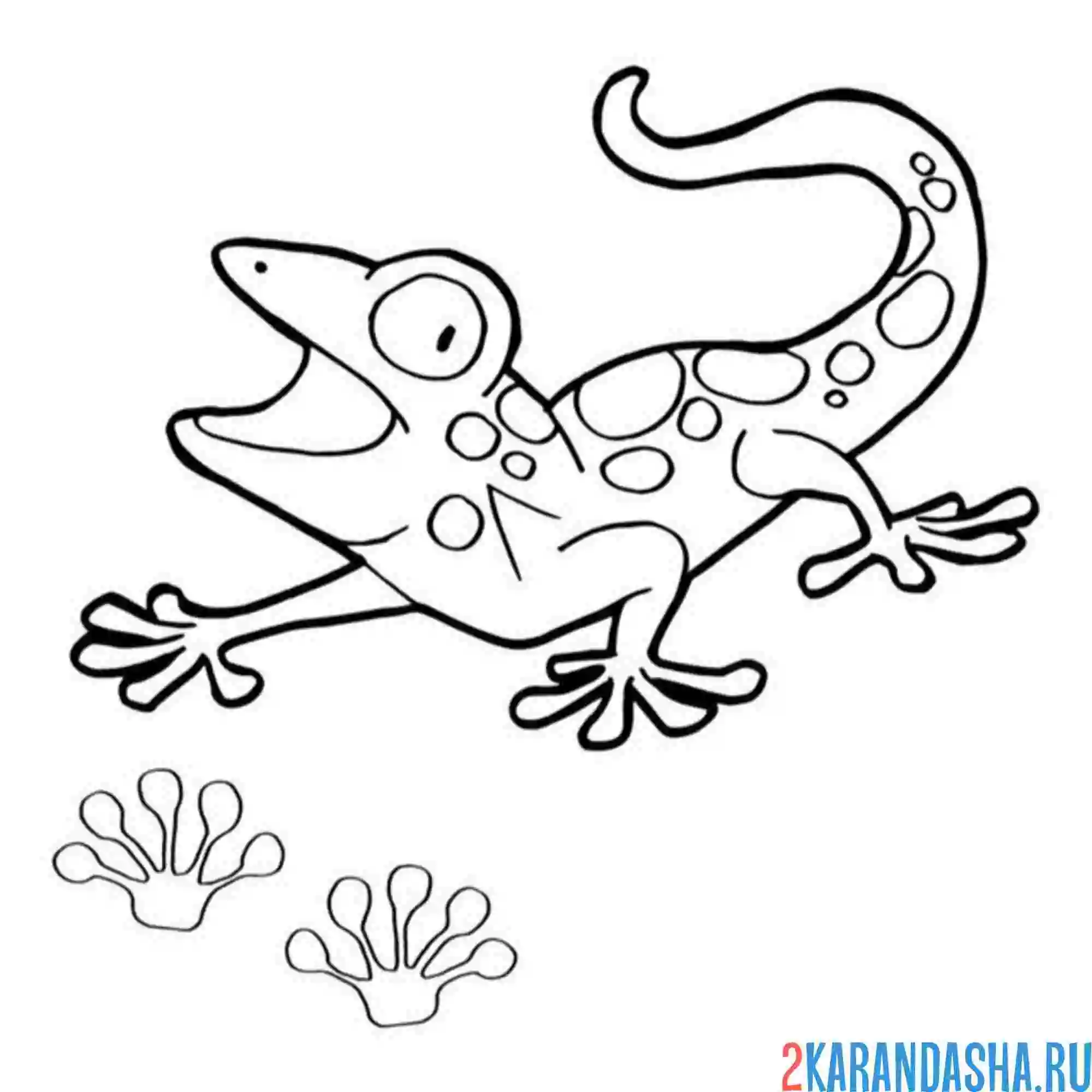 Раскраска ящерица открыла рот