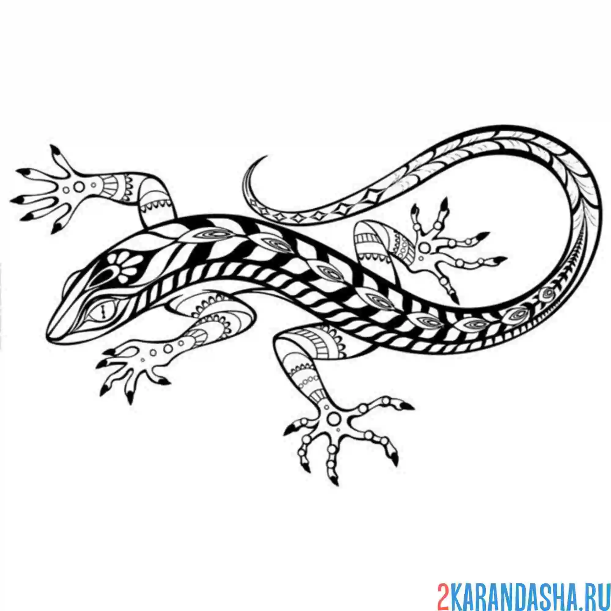 Раскраска ящерица с узорами