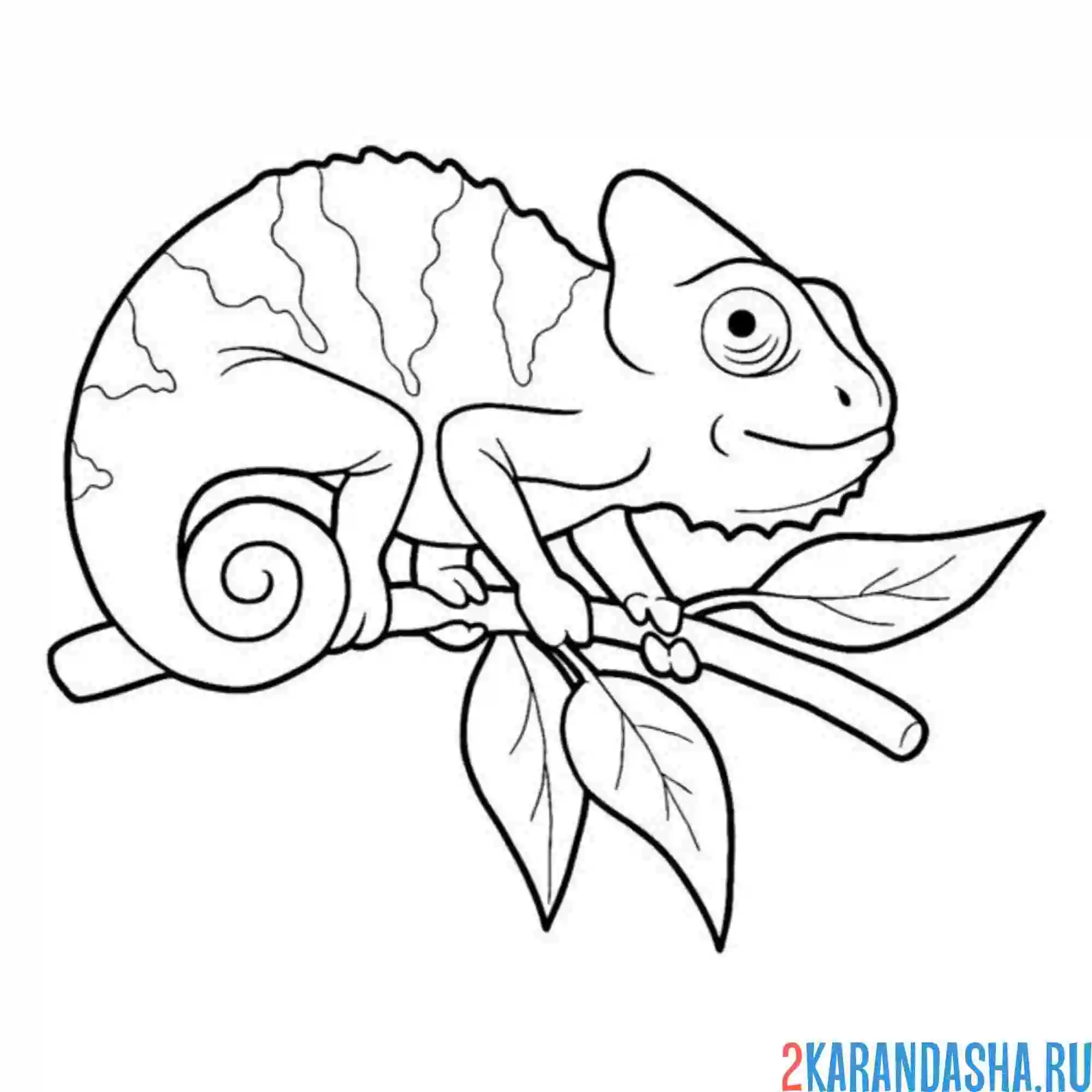 Раскраска хамелеон с листьями