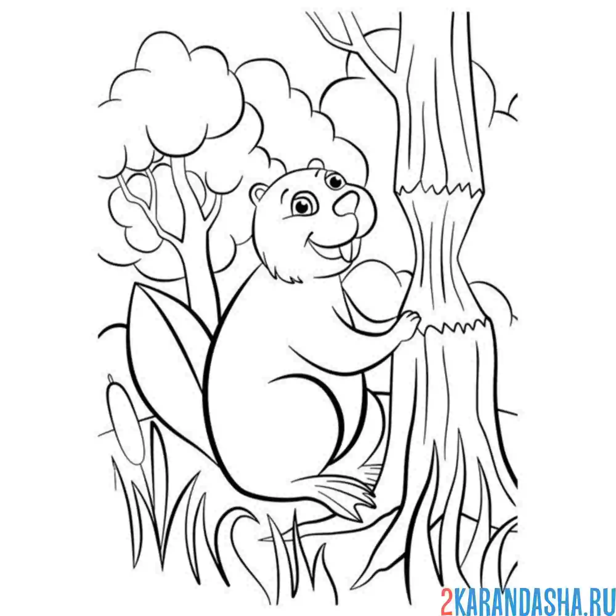 Раскраска бобер работает с деревом