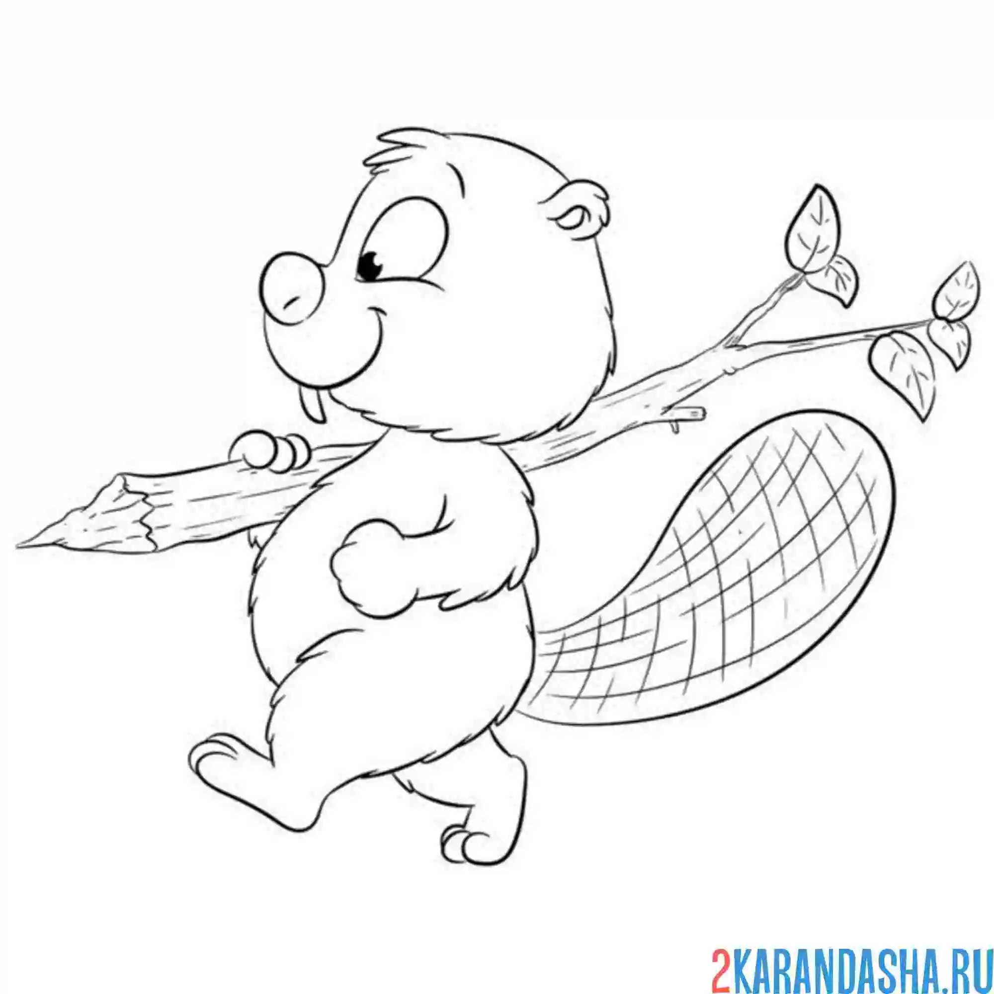 Раскраска бобер и ветка