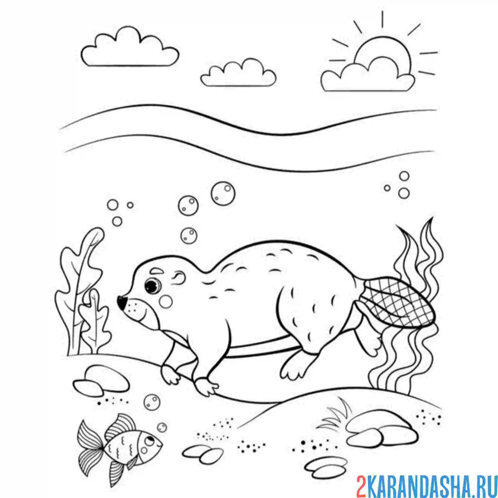 Раскраска бобр под водой