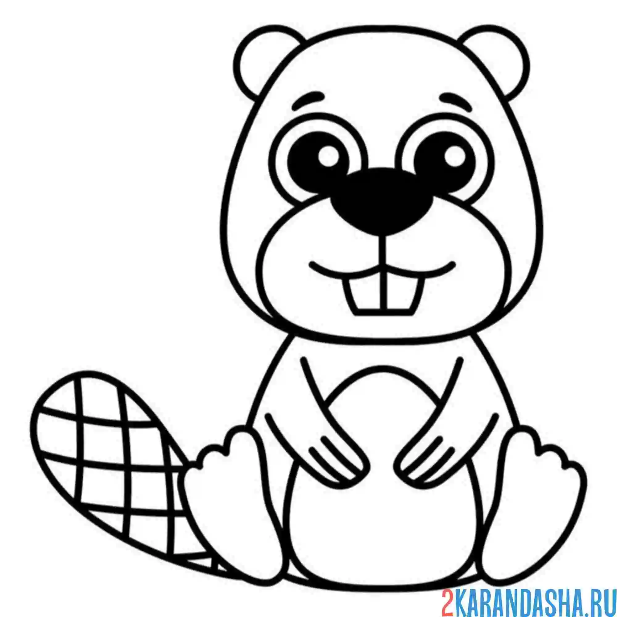 Раскраска милашный бобр