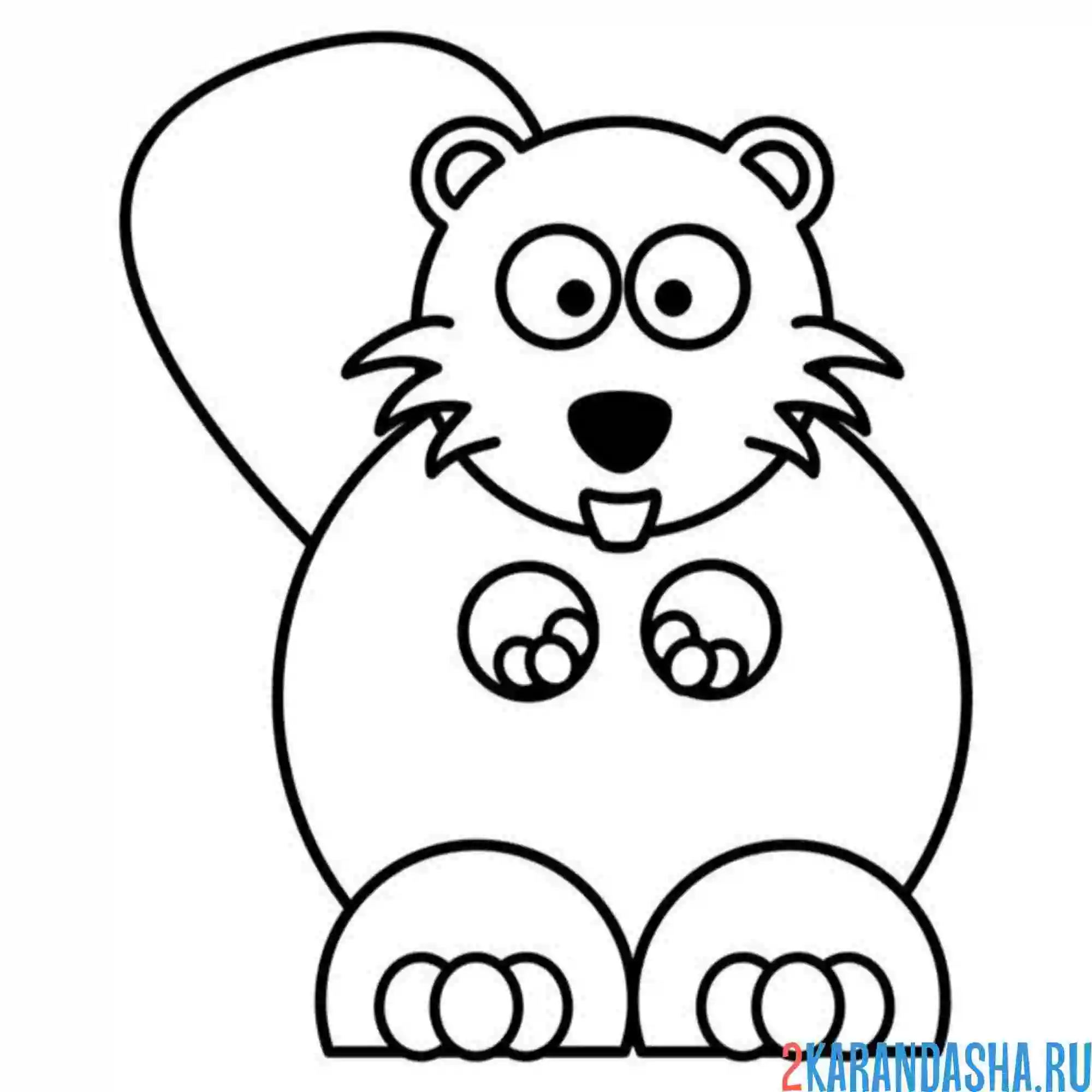 Раскраска бобр смешной