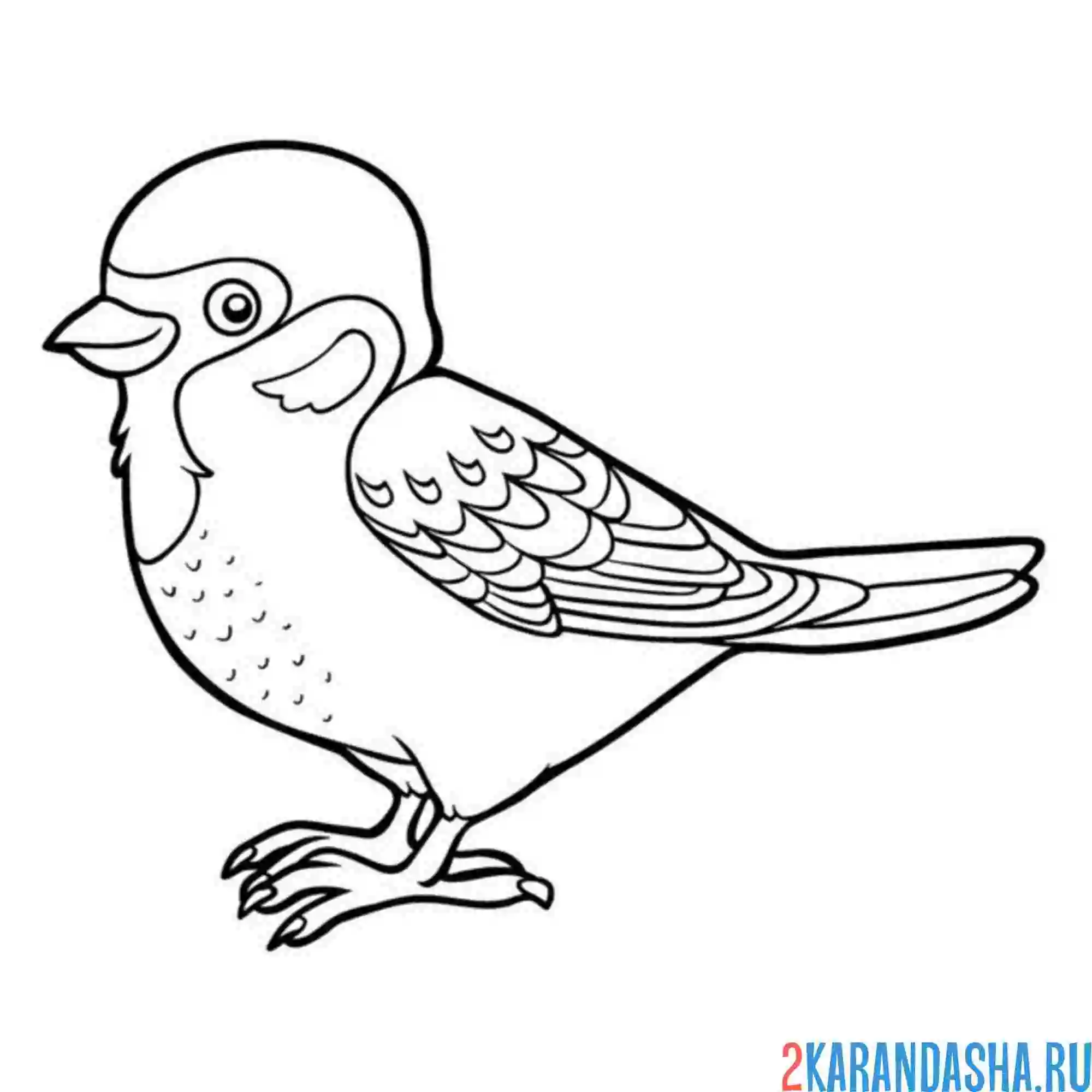 Раскраска воробей мультик