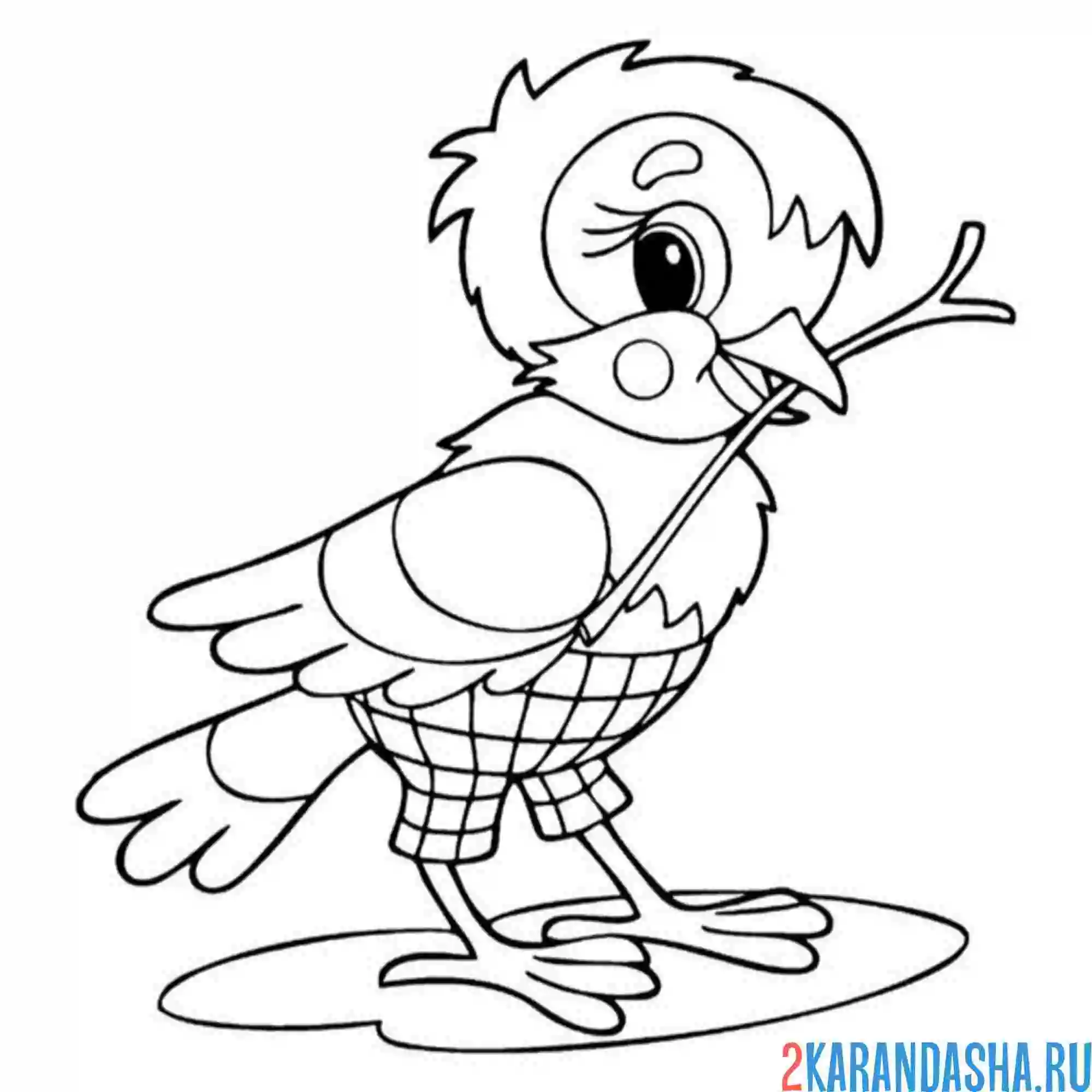 Раскраска воробей с палочкой