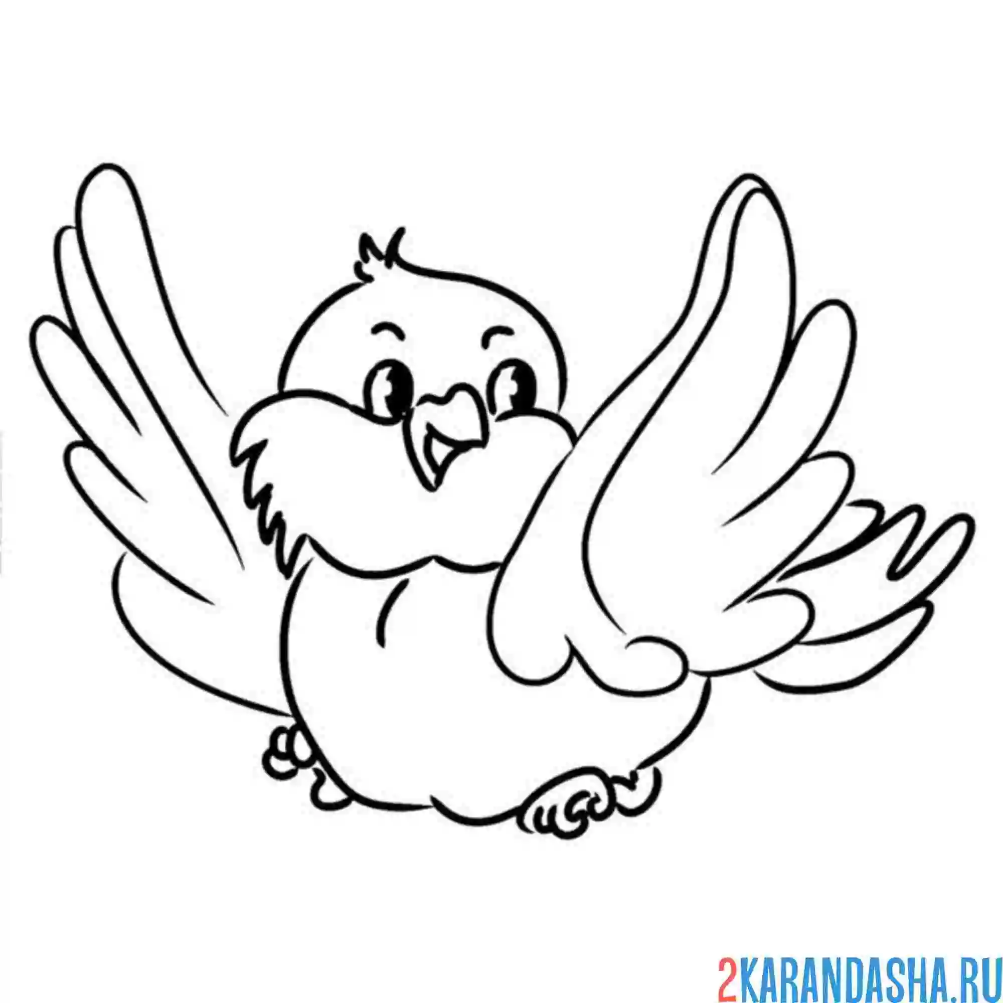 Раскраска воробей в полете