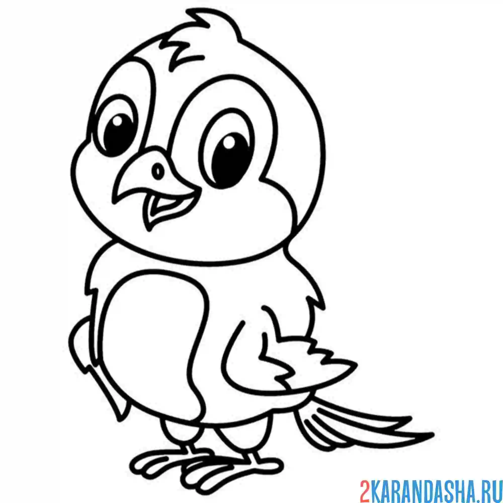 Раскраска смешной воробей