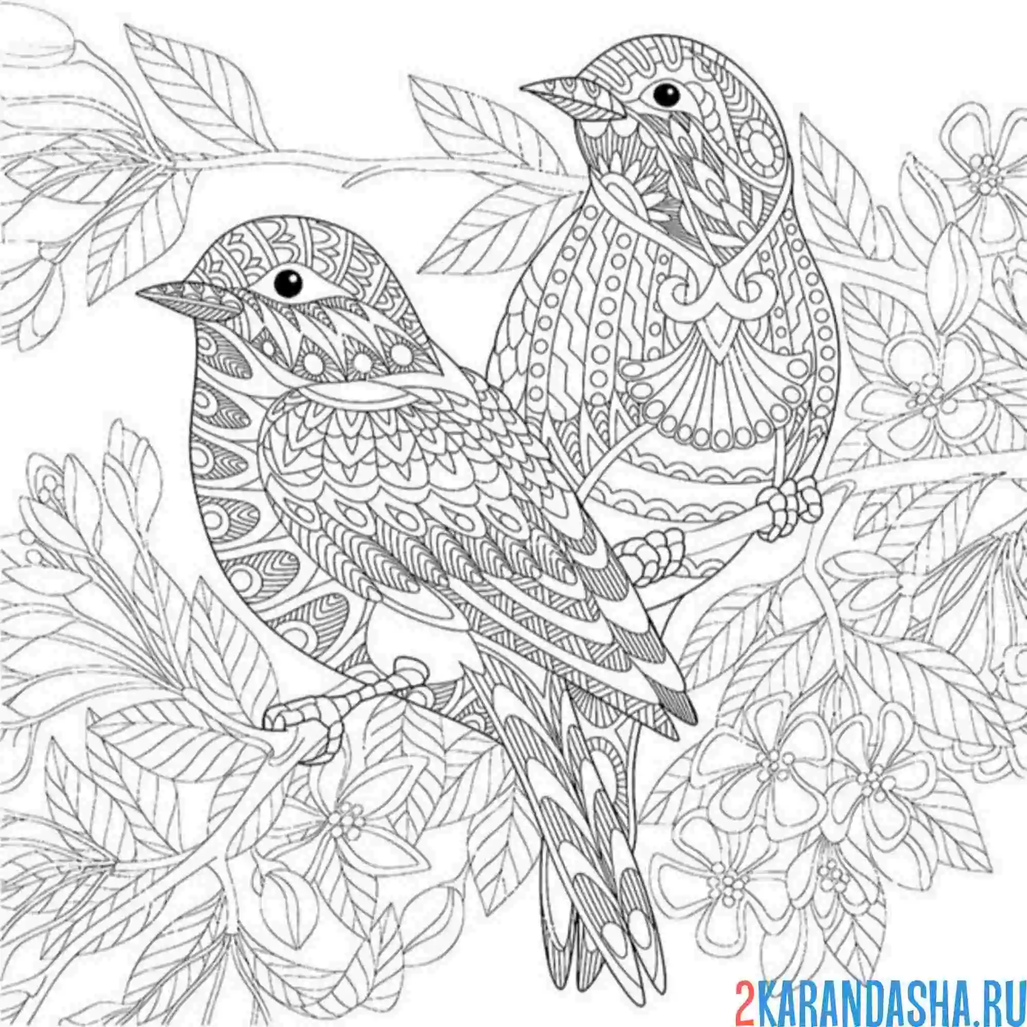 Раскраска воробьи антистресс