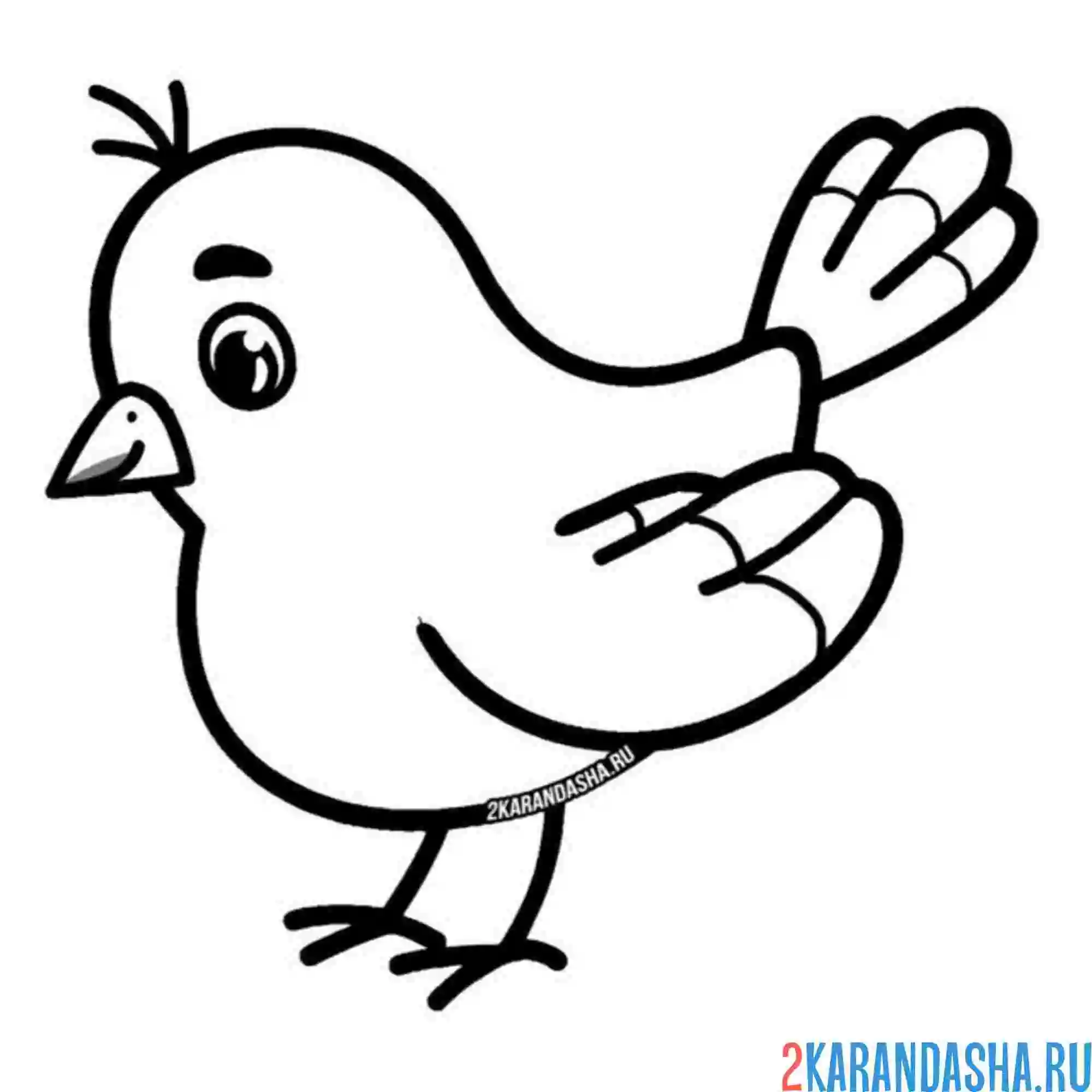 Раскраска воробей для малышей