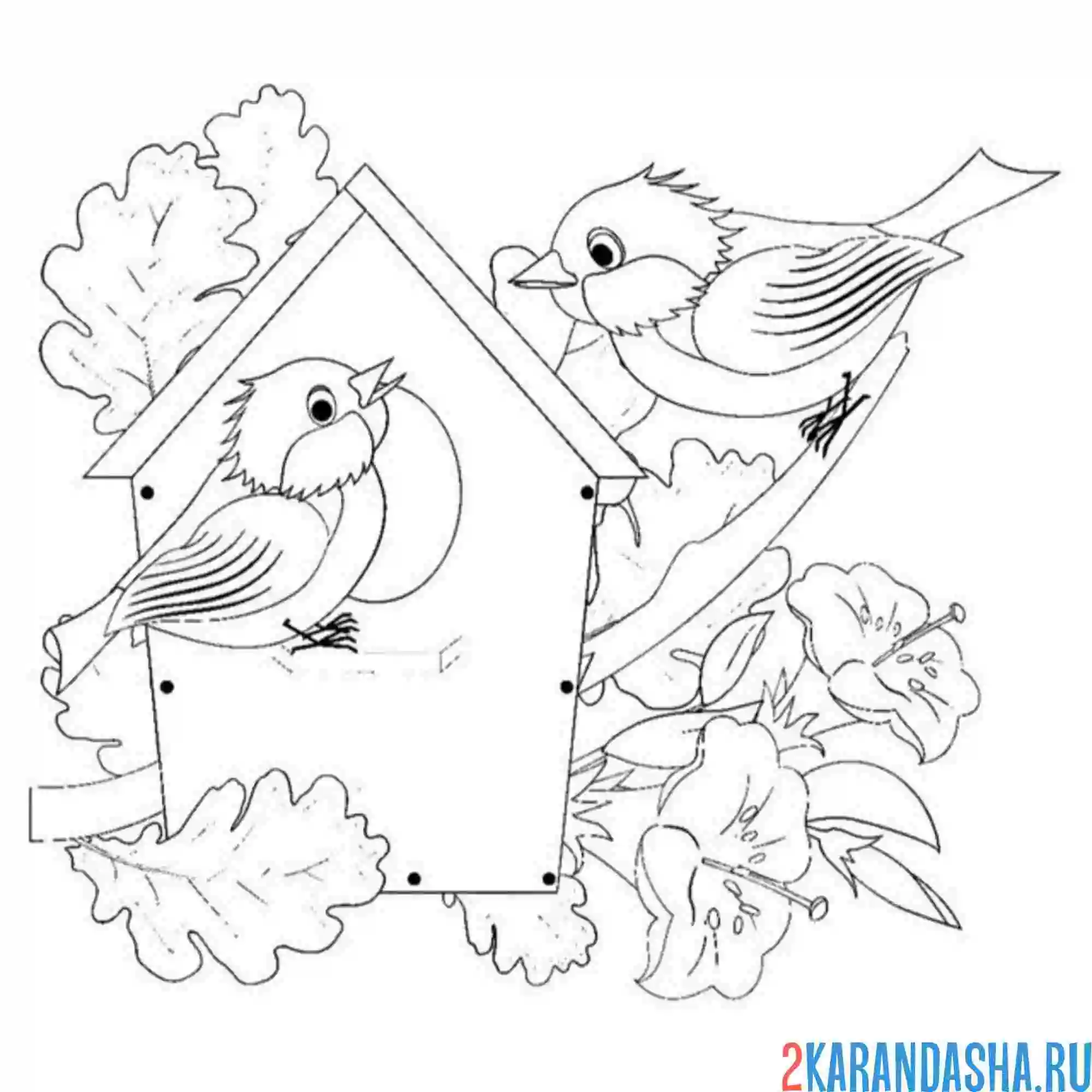 Раскраска два воробья