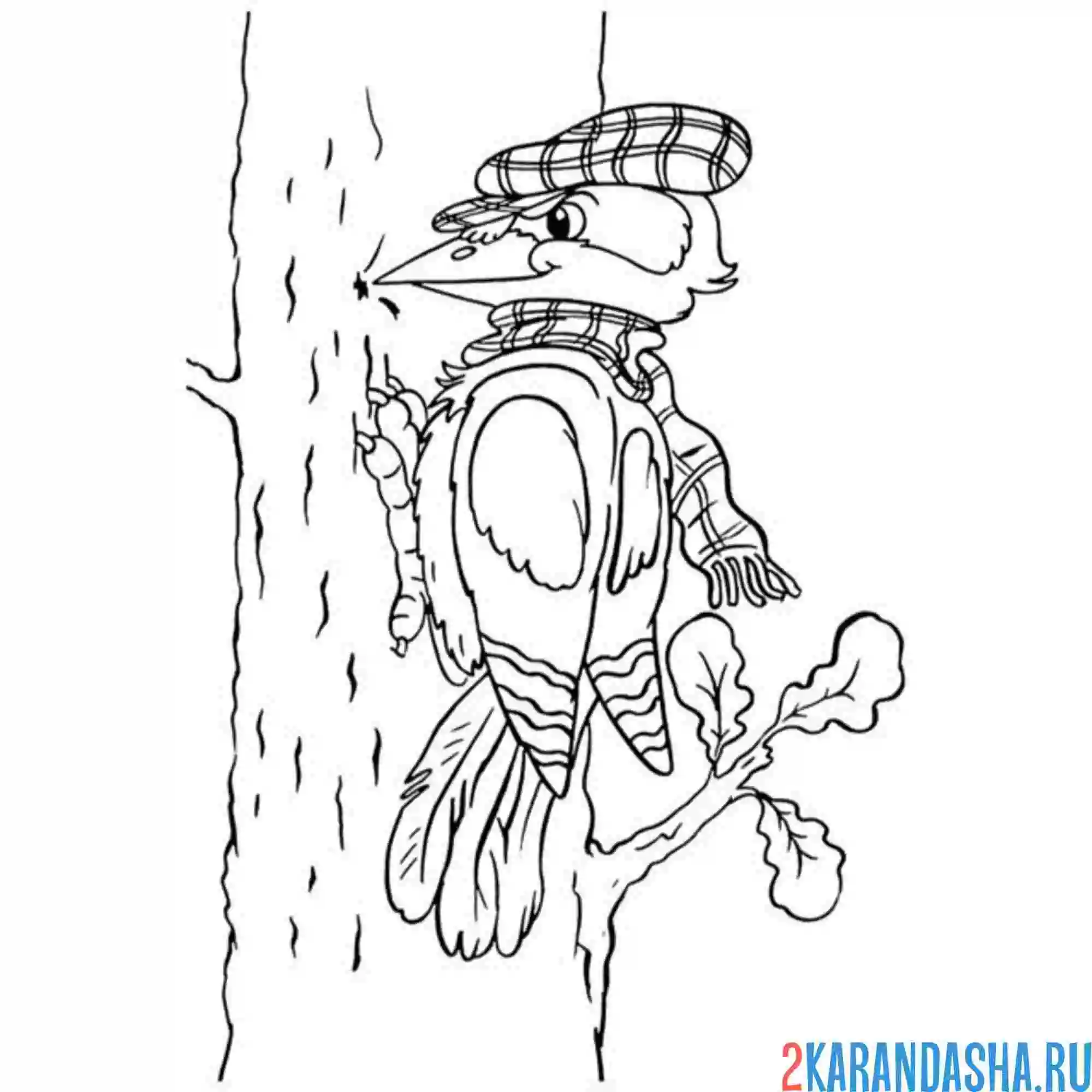 Раскраска дятел в шарфе