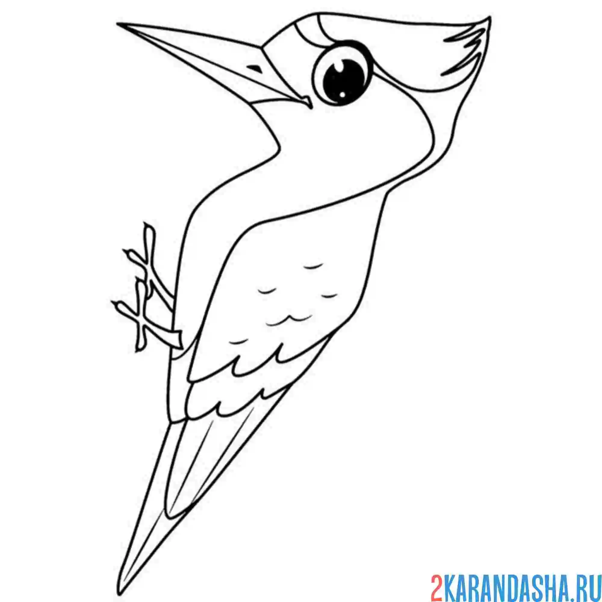 Раскраска мультяшный дятел