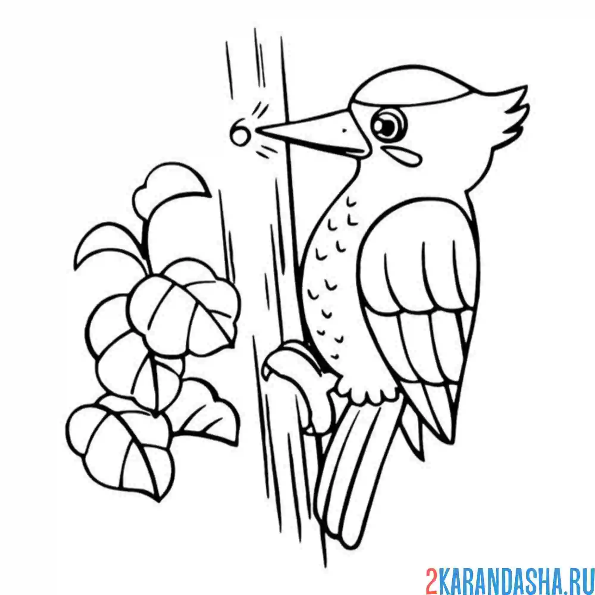 Раскраска дятел летом