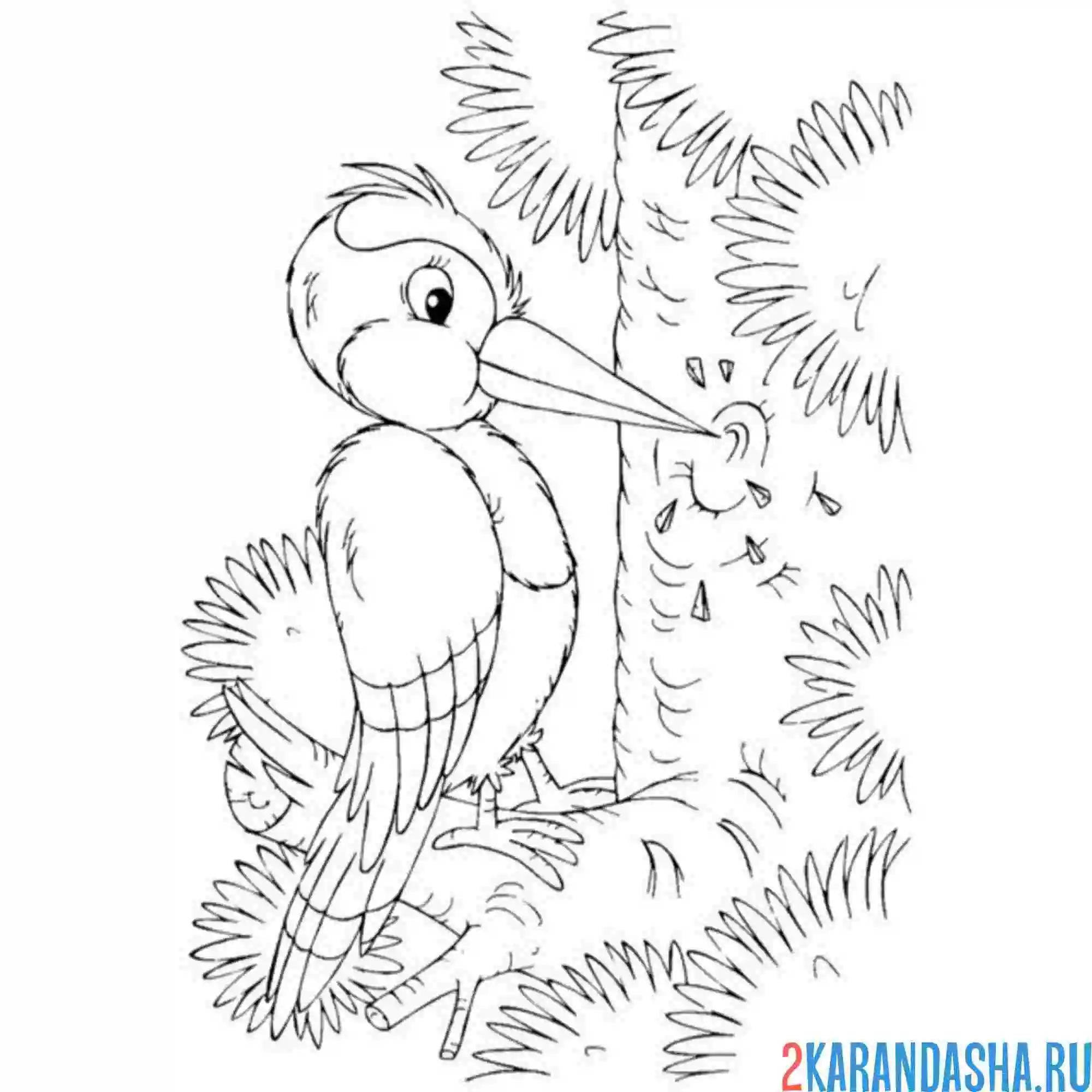 Раскраска дятел на елке