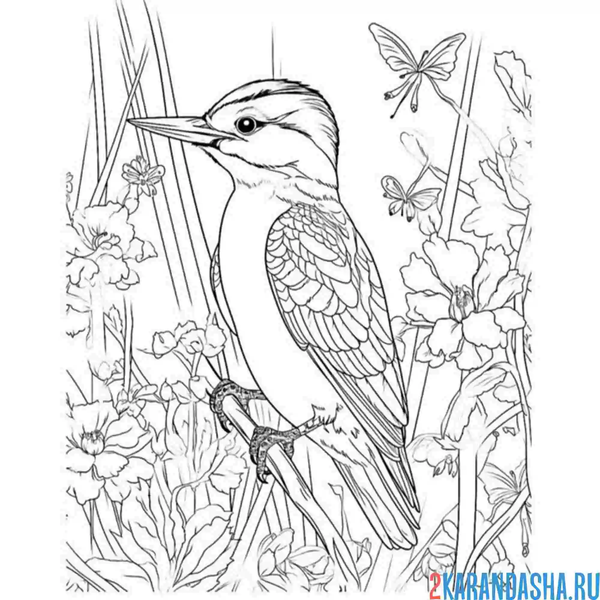 Раскраска дятел и цветы