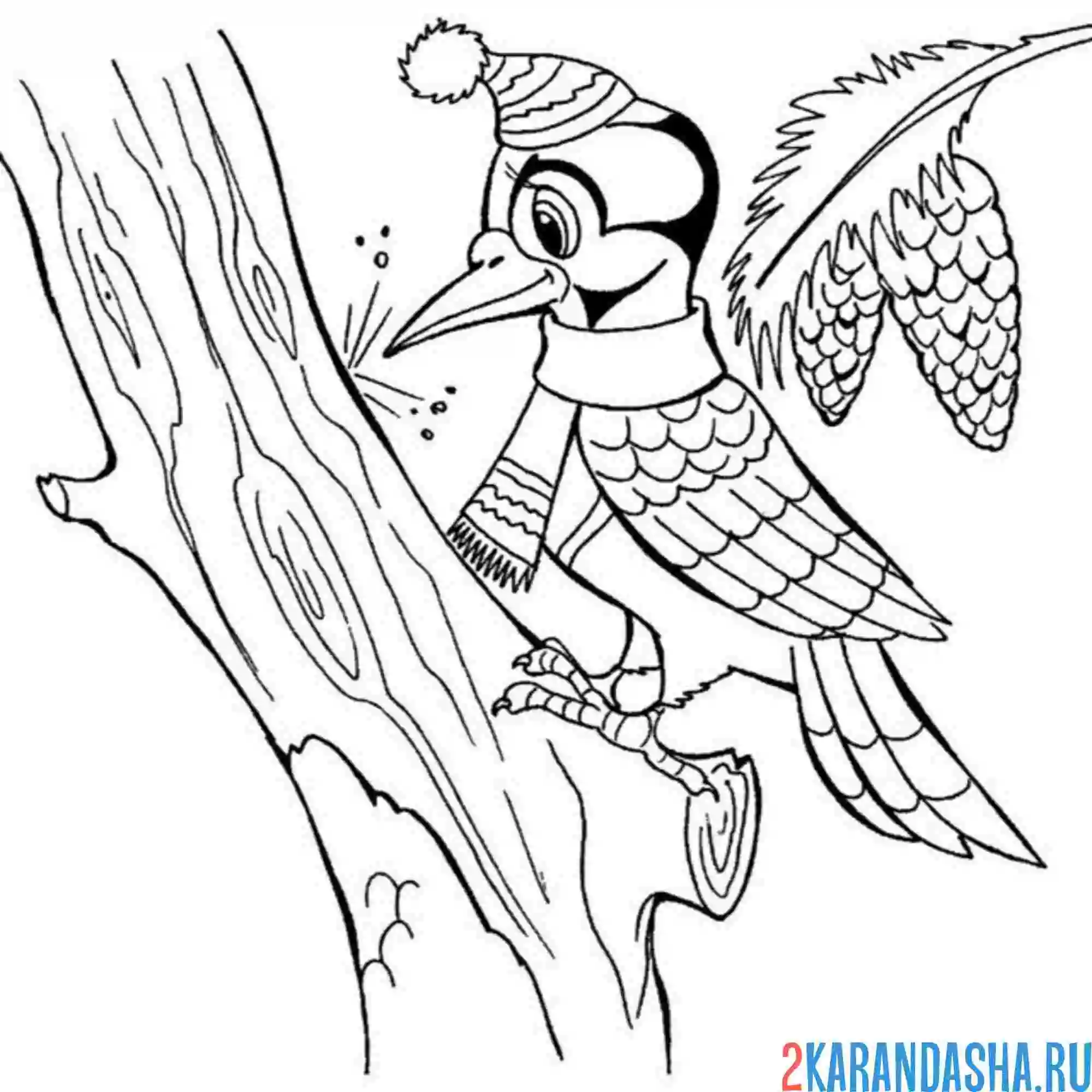 Раскраска дятел в шапке