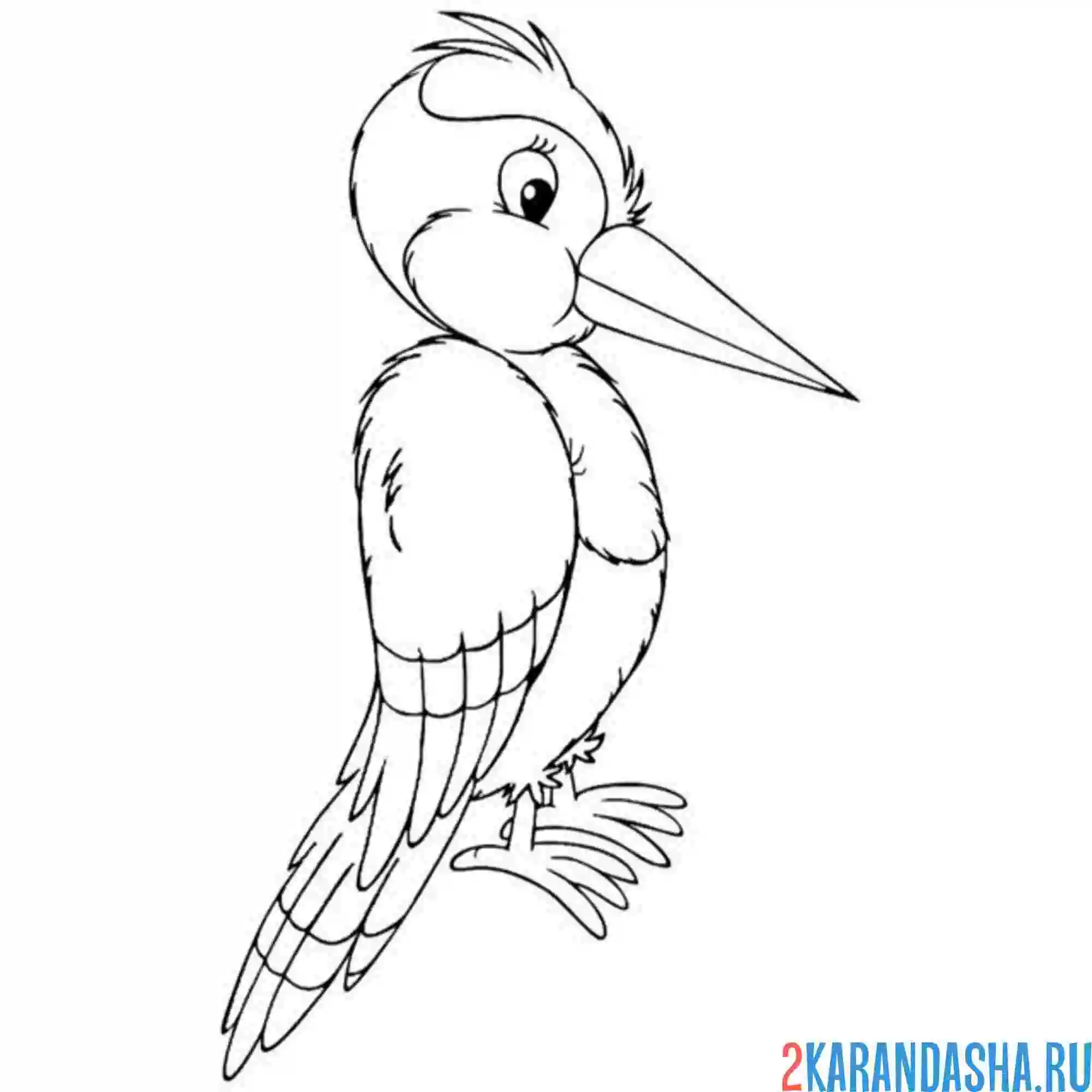 Раскраска хорошенький дятел