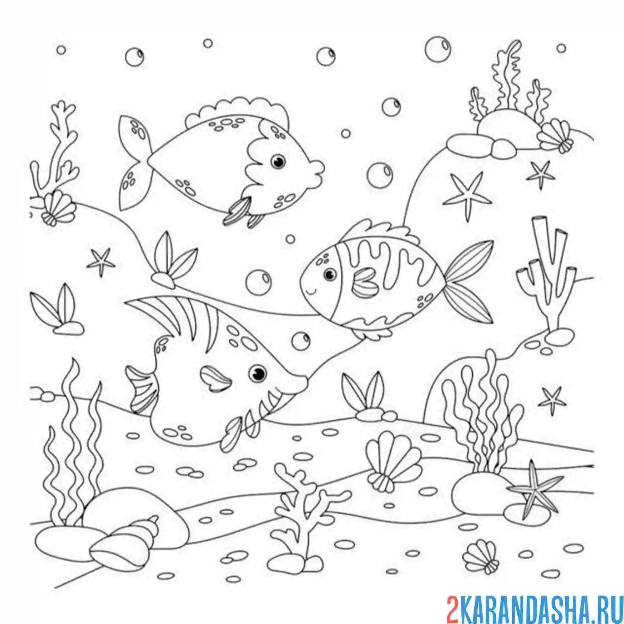 Раскраска море плавают рыбки